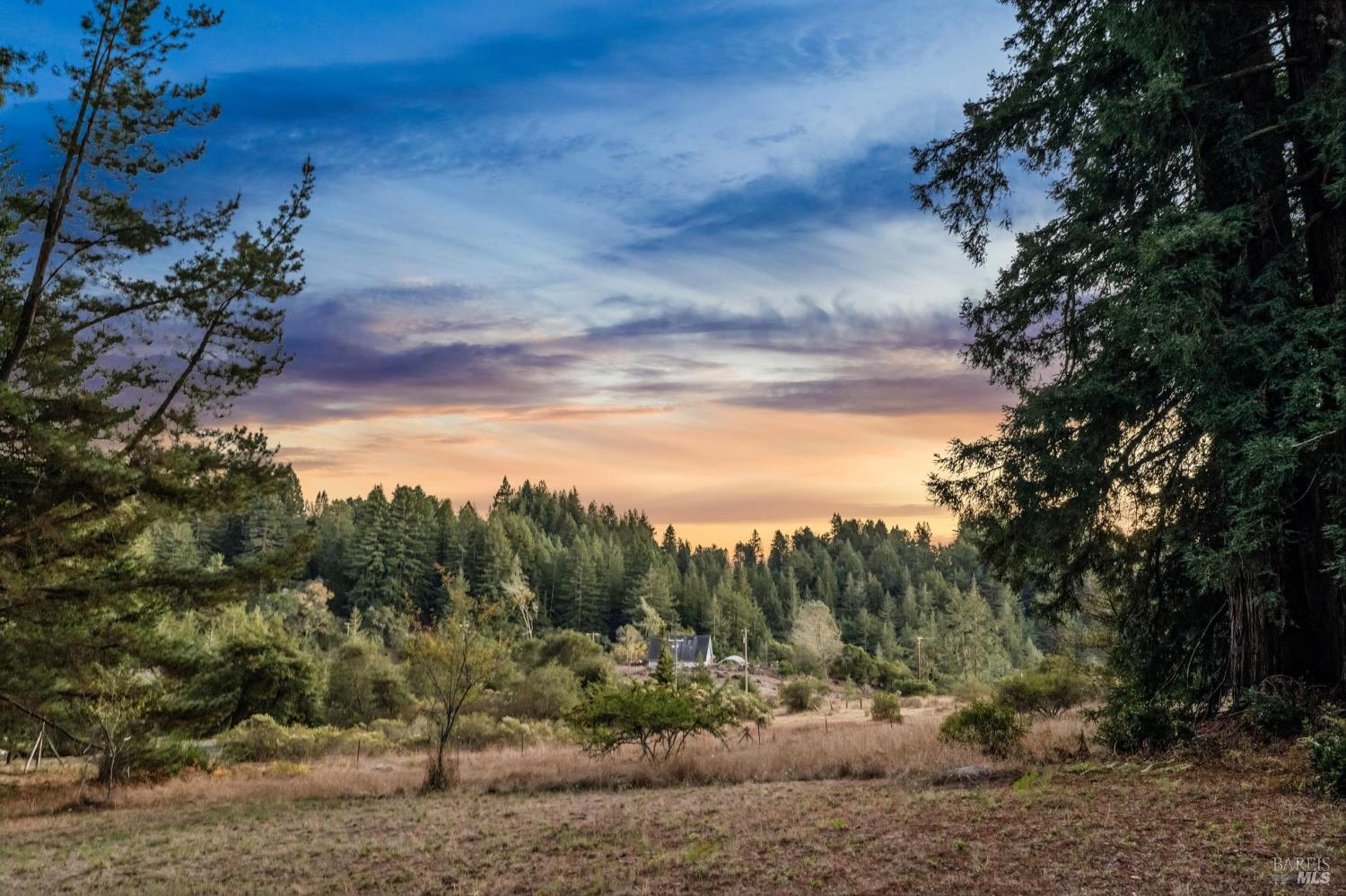 3565 Joy Road