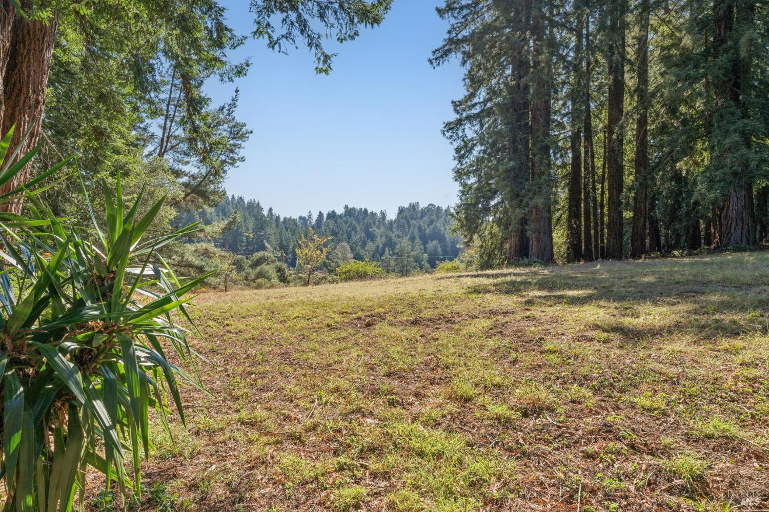3565 Joy Road