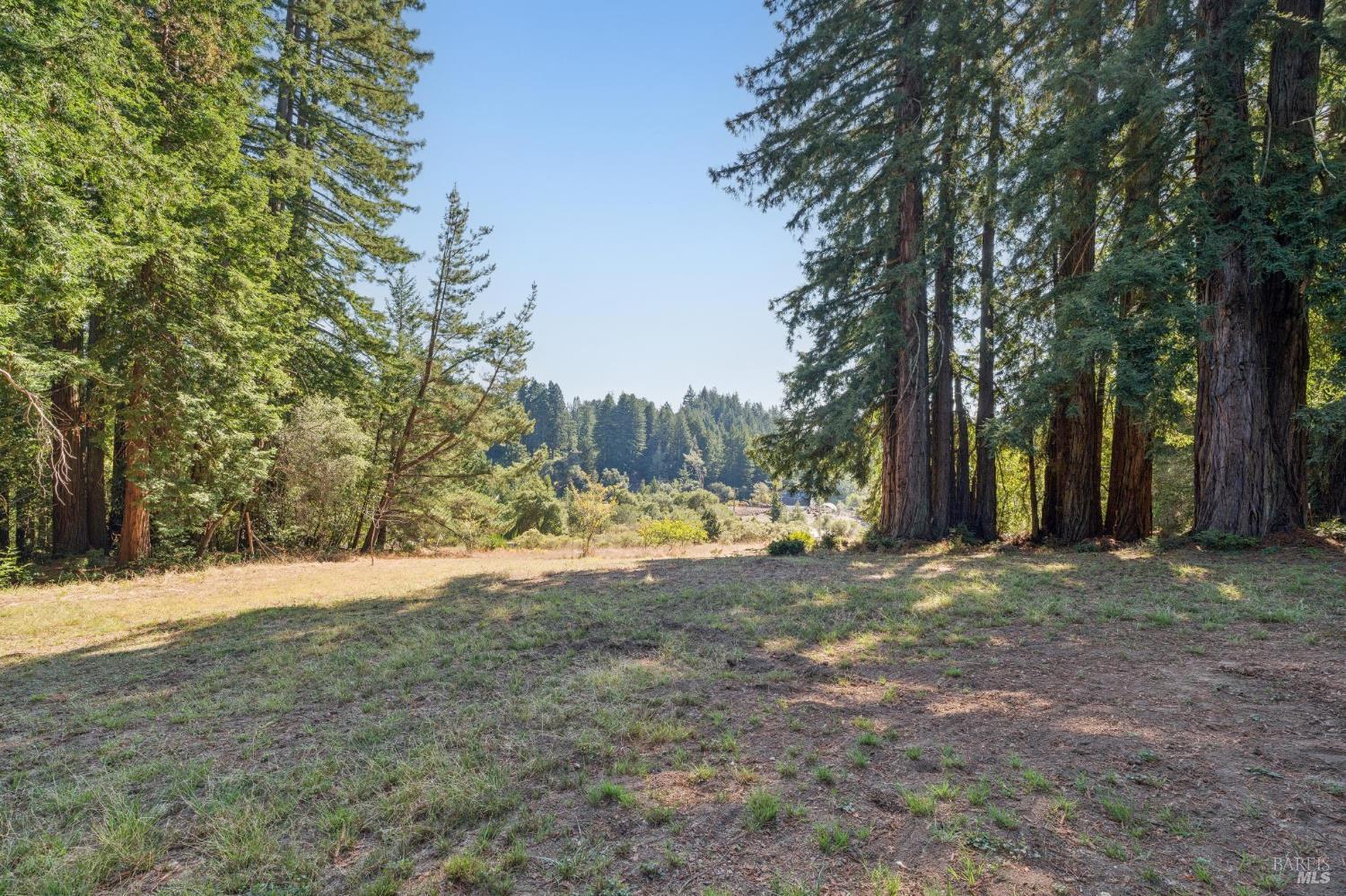 3565 Joy Road