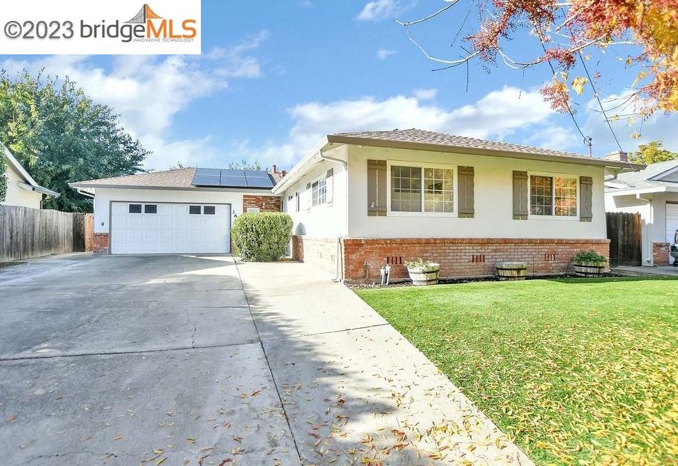 161 Pippo Ave