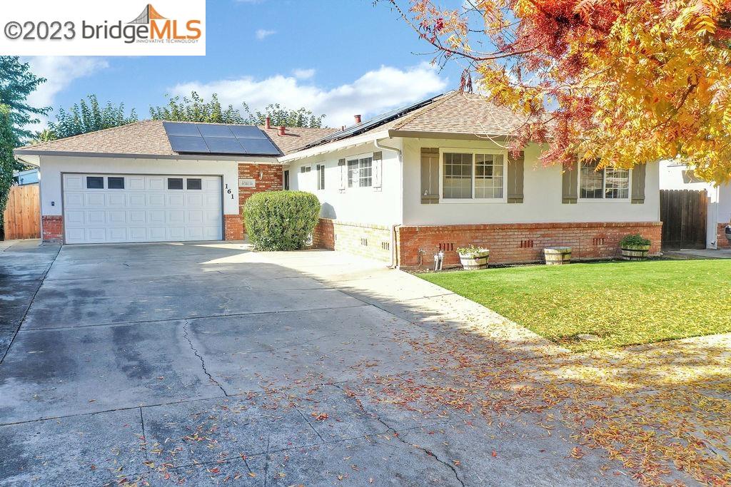 161 Pippo Ave