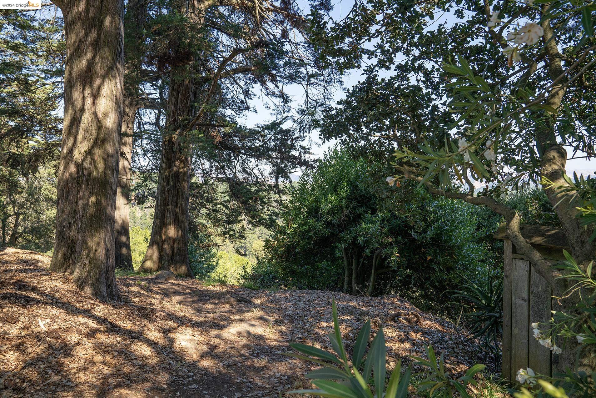 7057 Shirley Dr