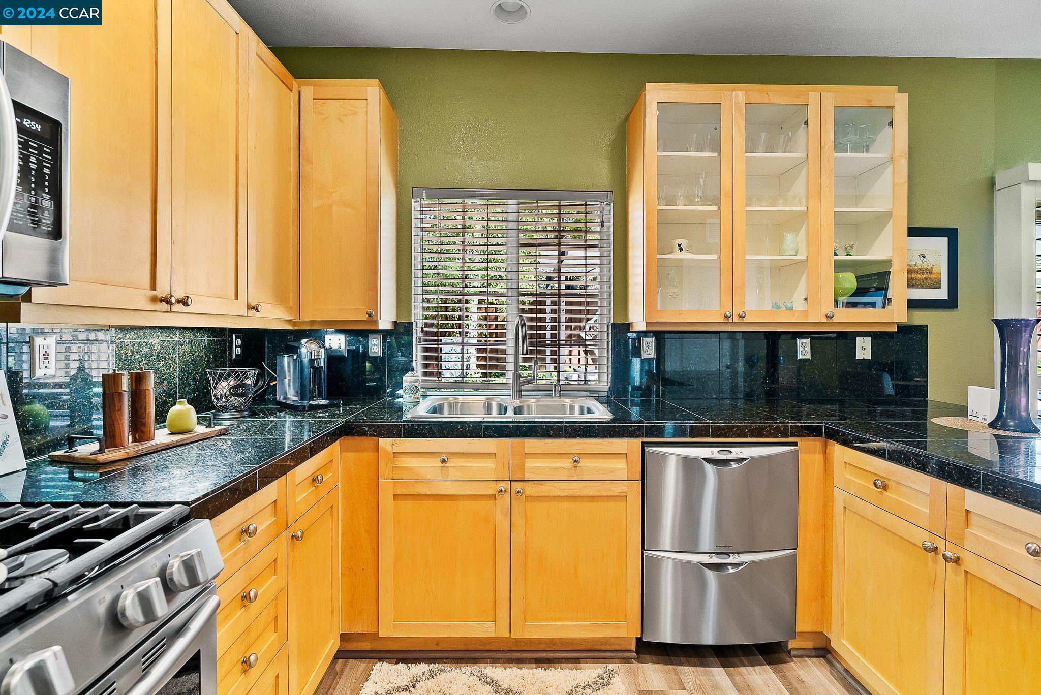 932 Calle Diablo Ct