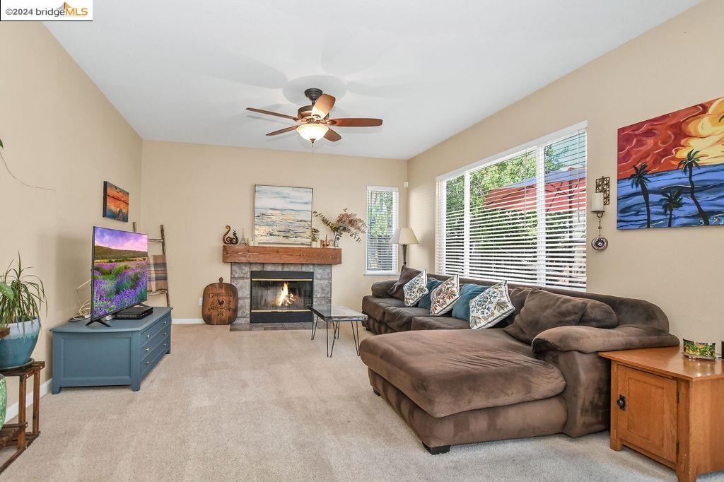 1736 Diamond Springs Ct