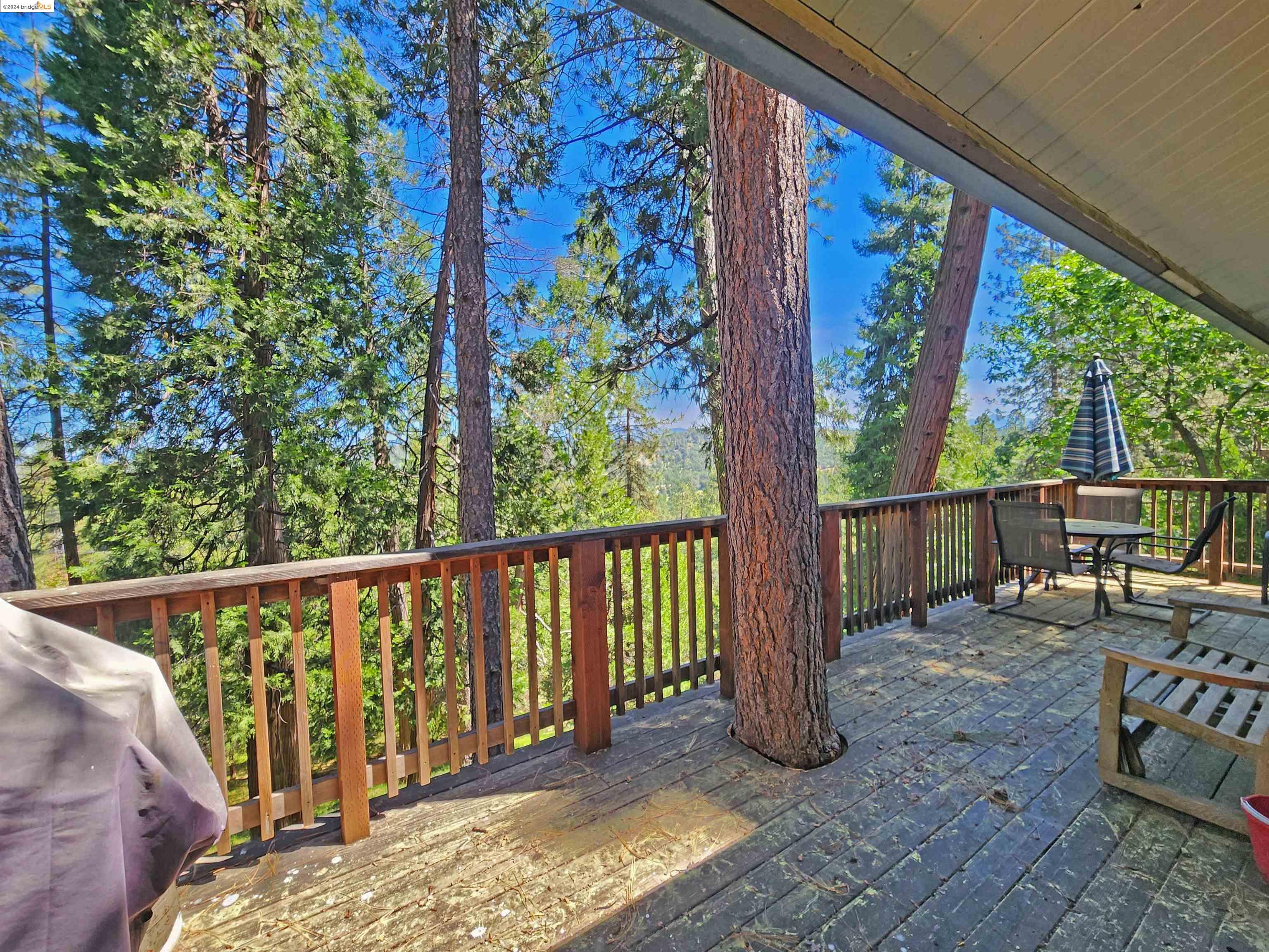 12869 Mueller Dr