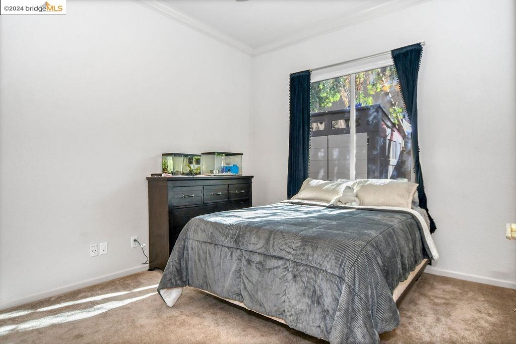 221 Continente Ave