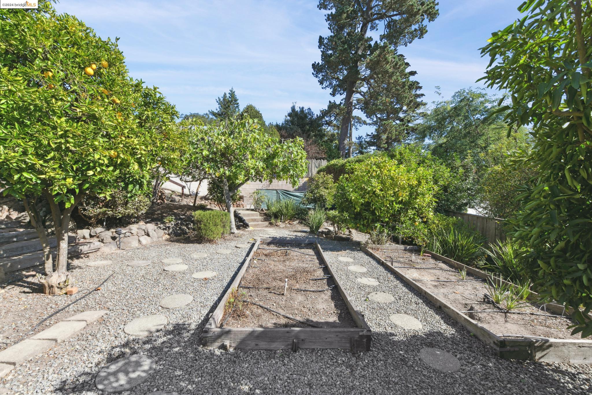 2643 Carisbrook Dr