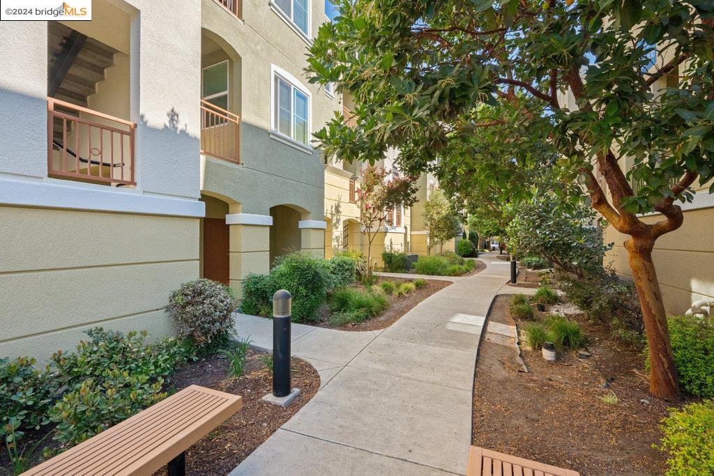 4740 Norris Canyon Rd # 104