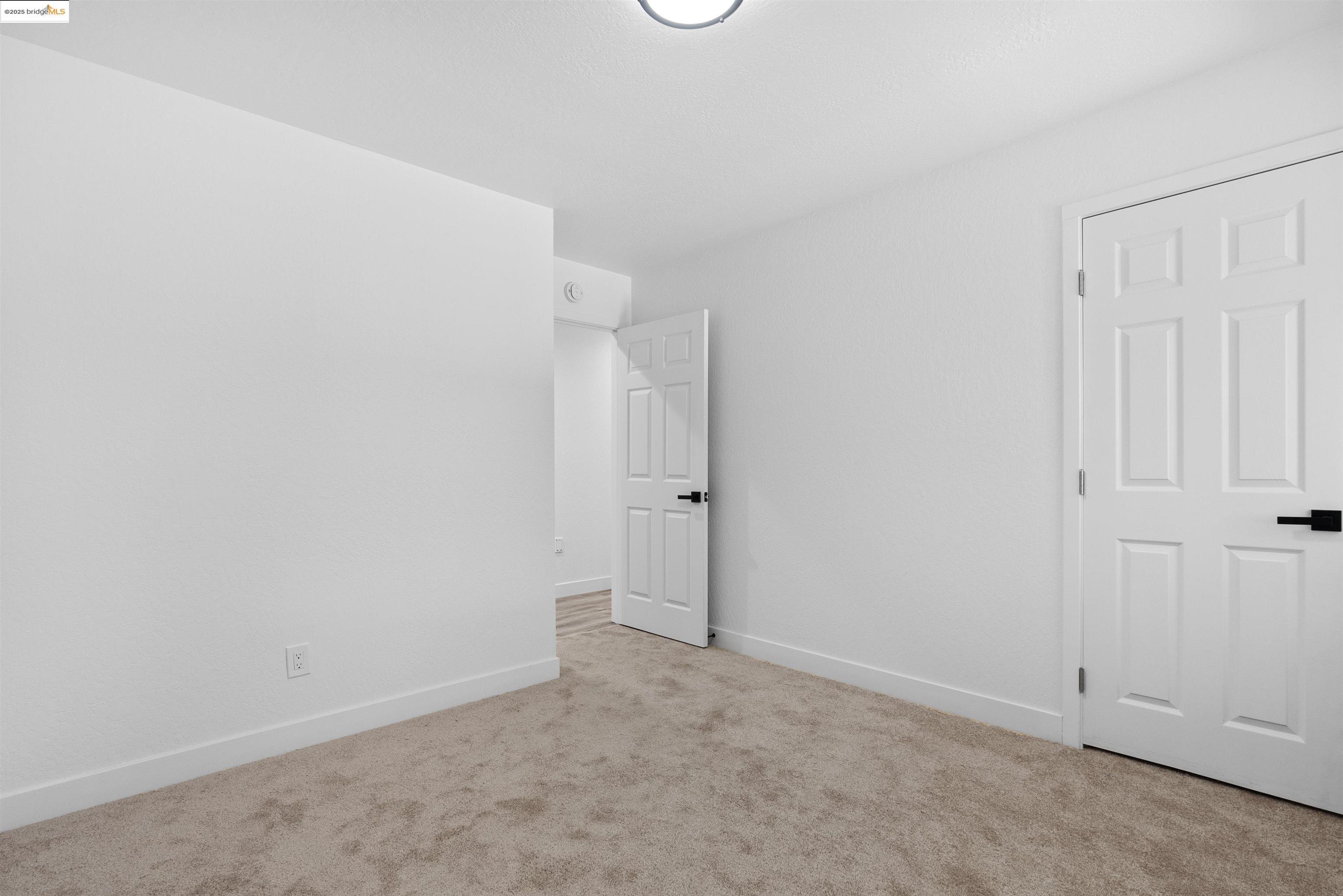 252 Pippo Ave