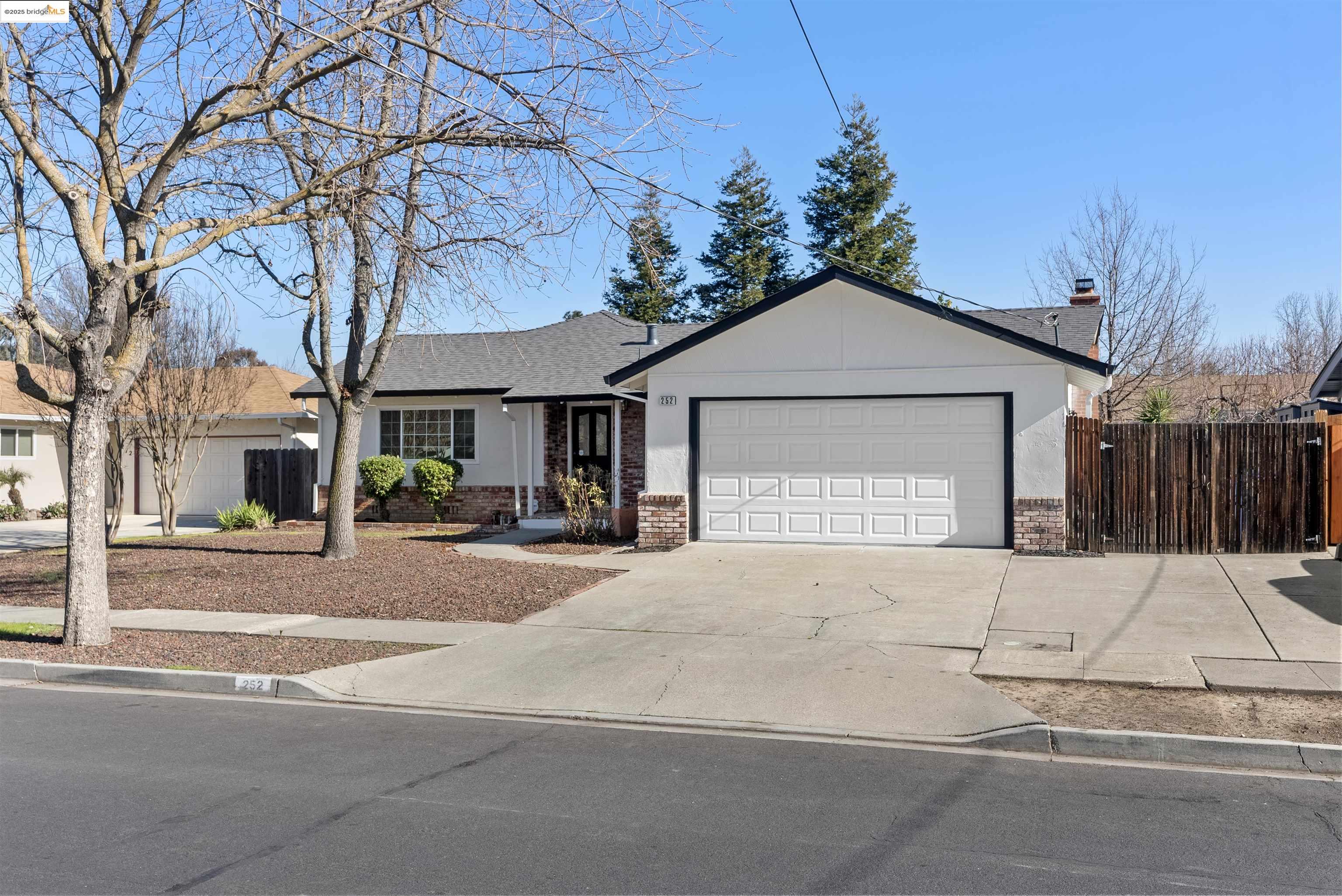 252 Pippo Ave