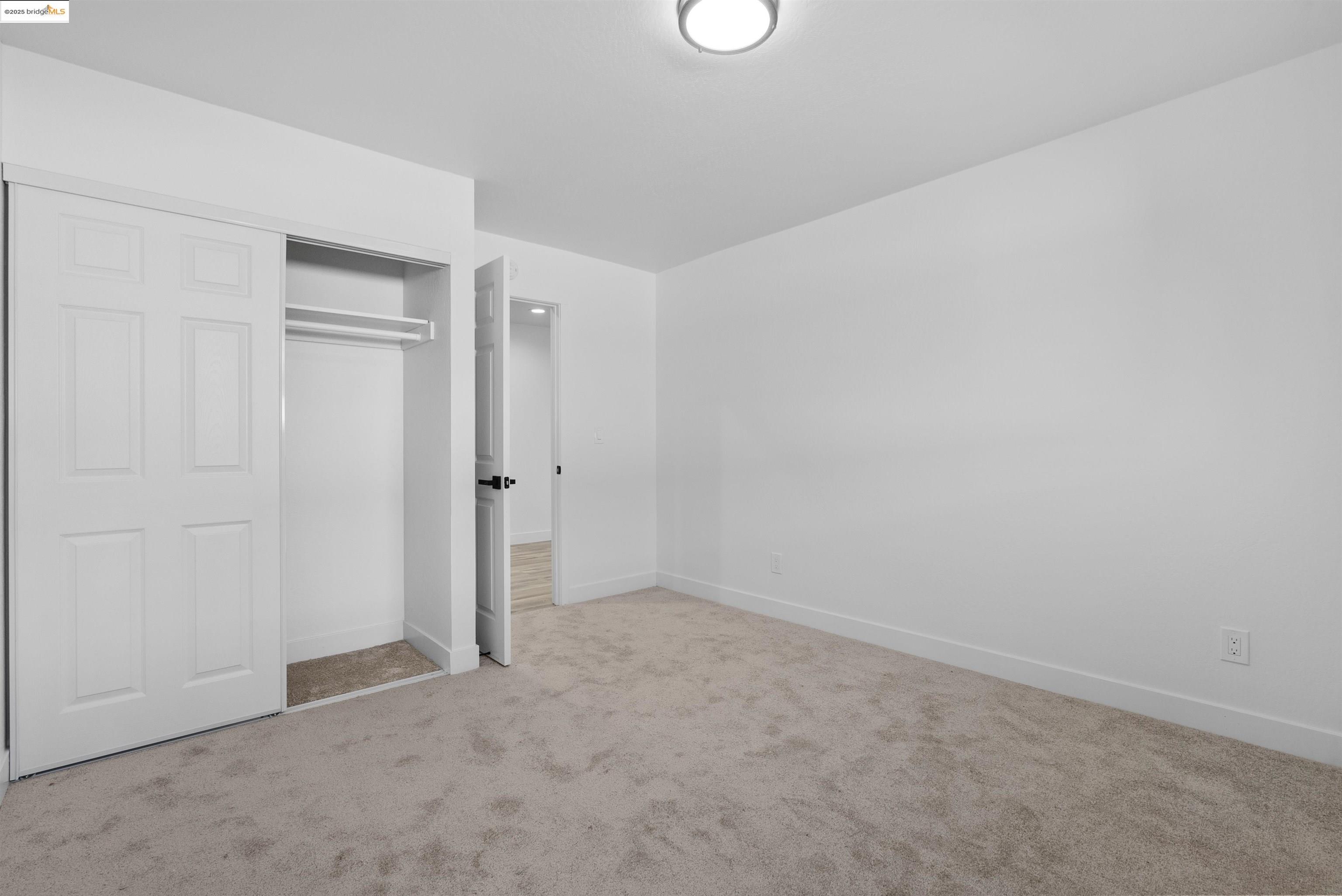 252 Pippo Ave