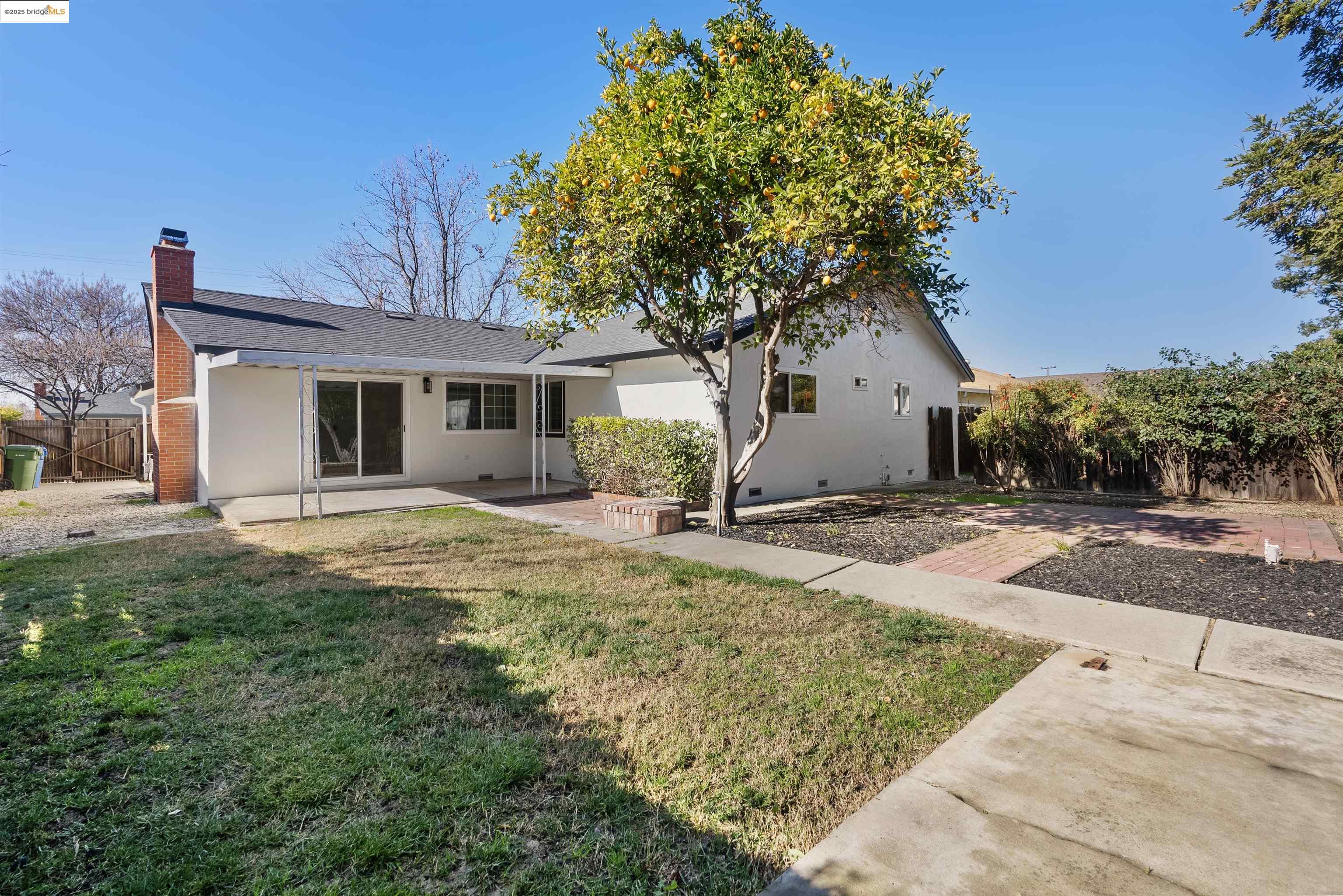 252 Pippo Ave