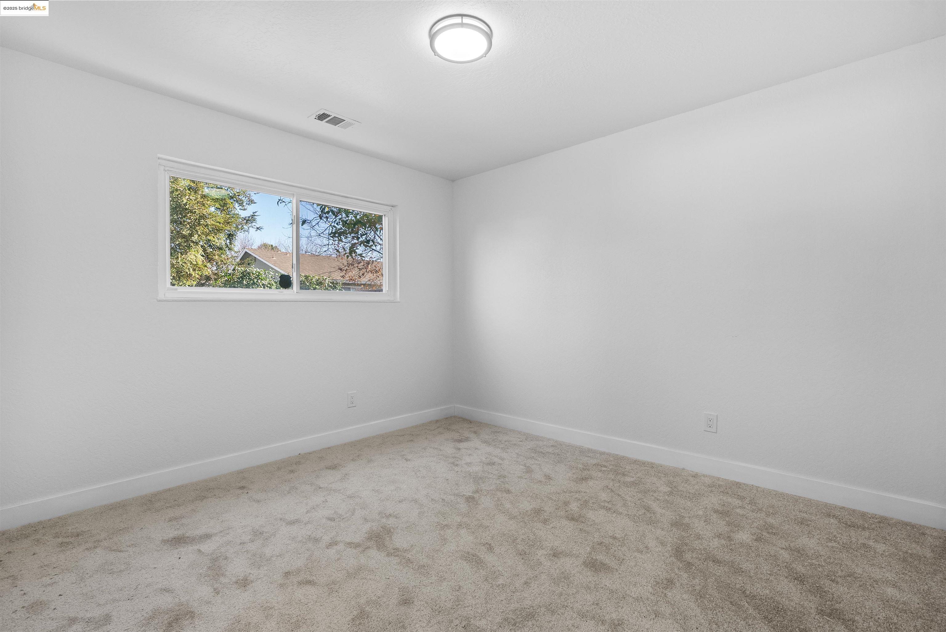 252 Pippo Ave