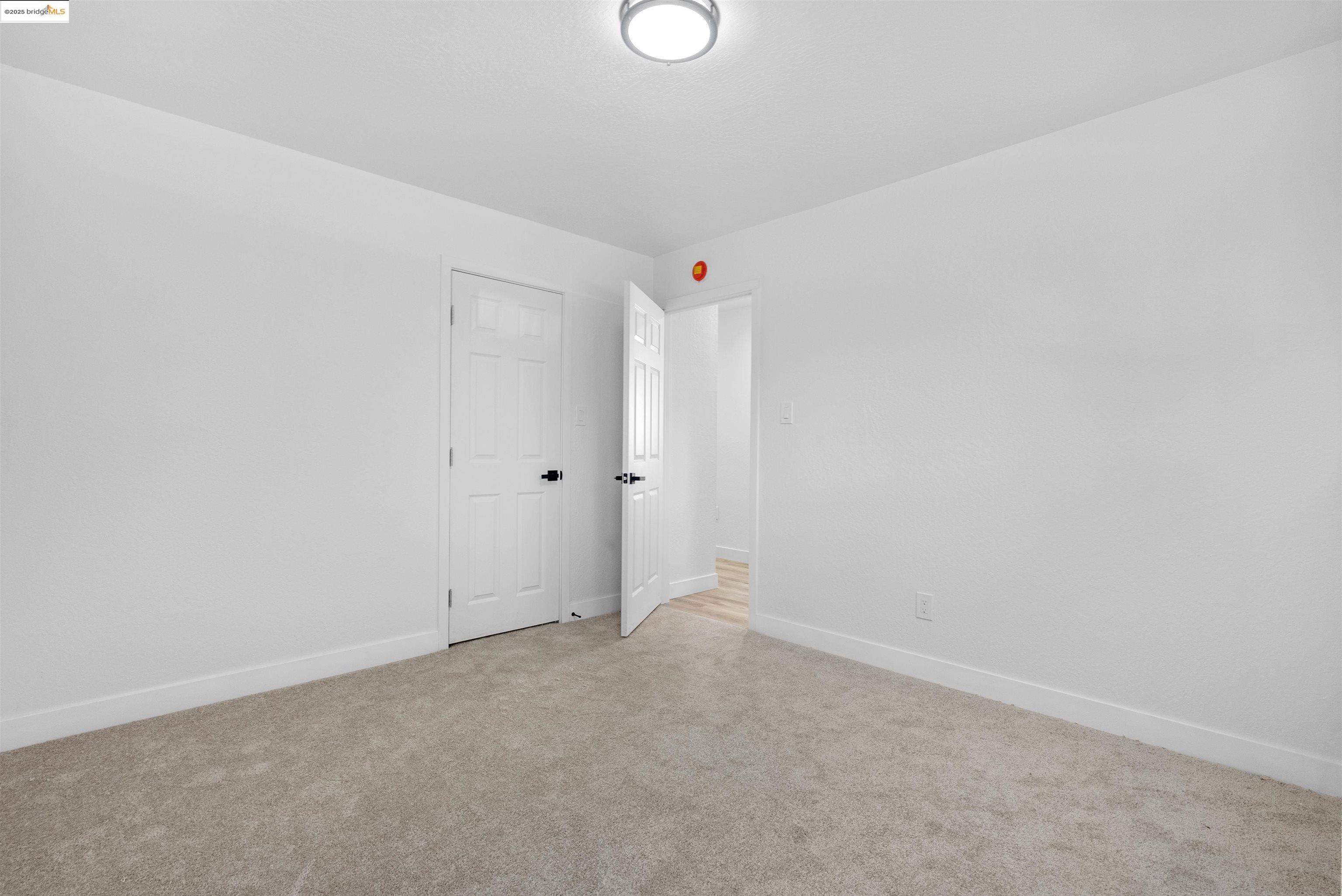 252 Pippo Ave