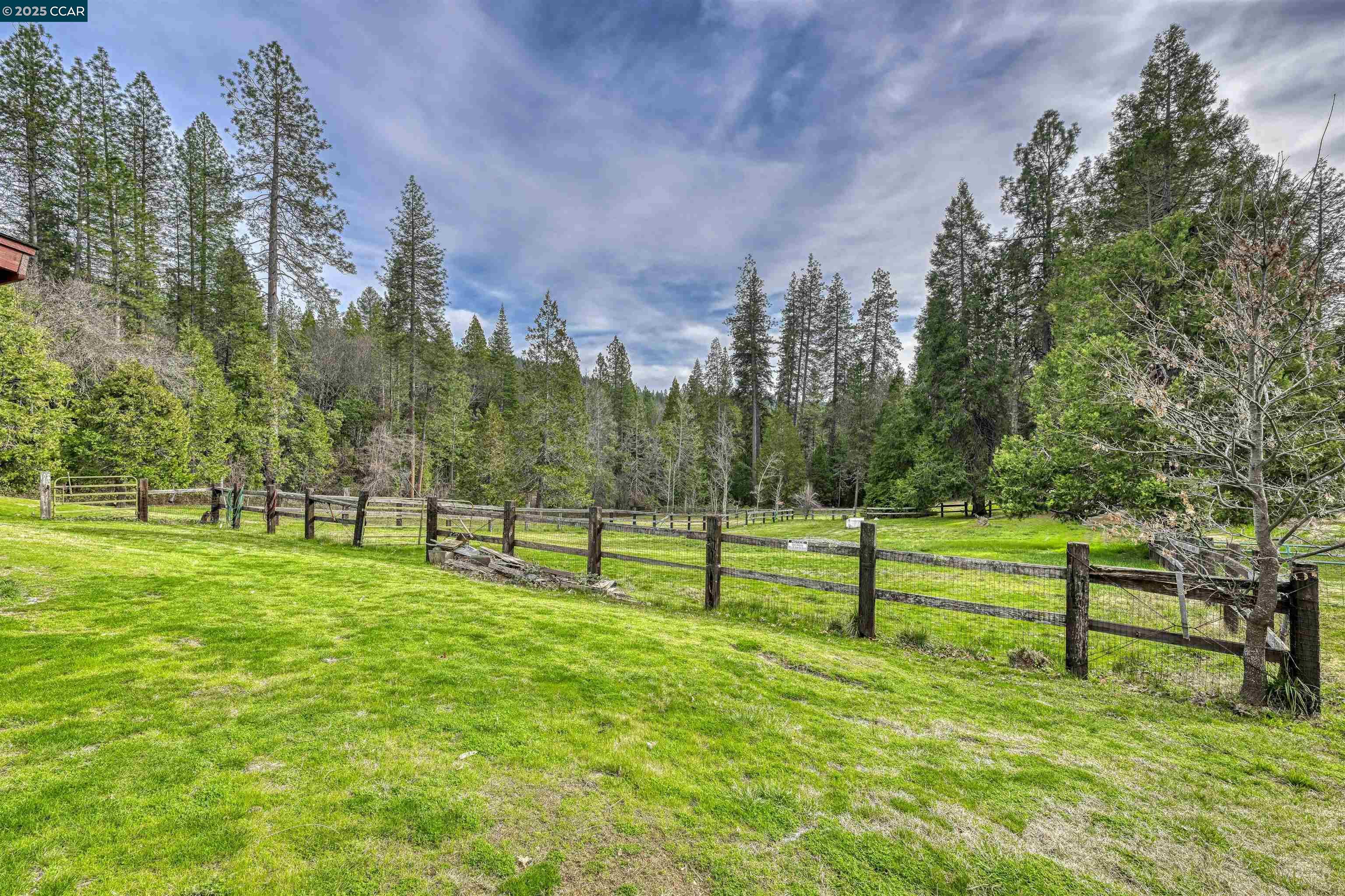 11417 Red Dog Rd