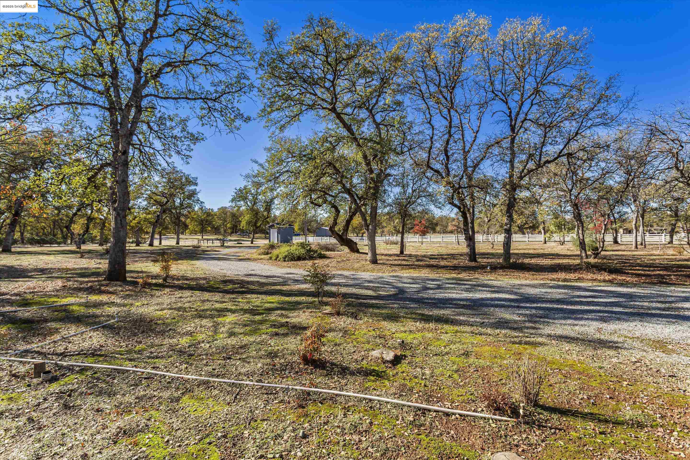 8585 Whispering Oaks Rd
