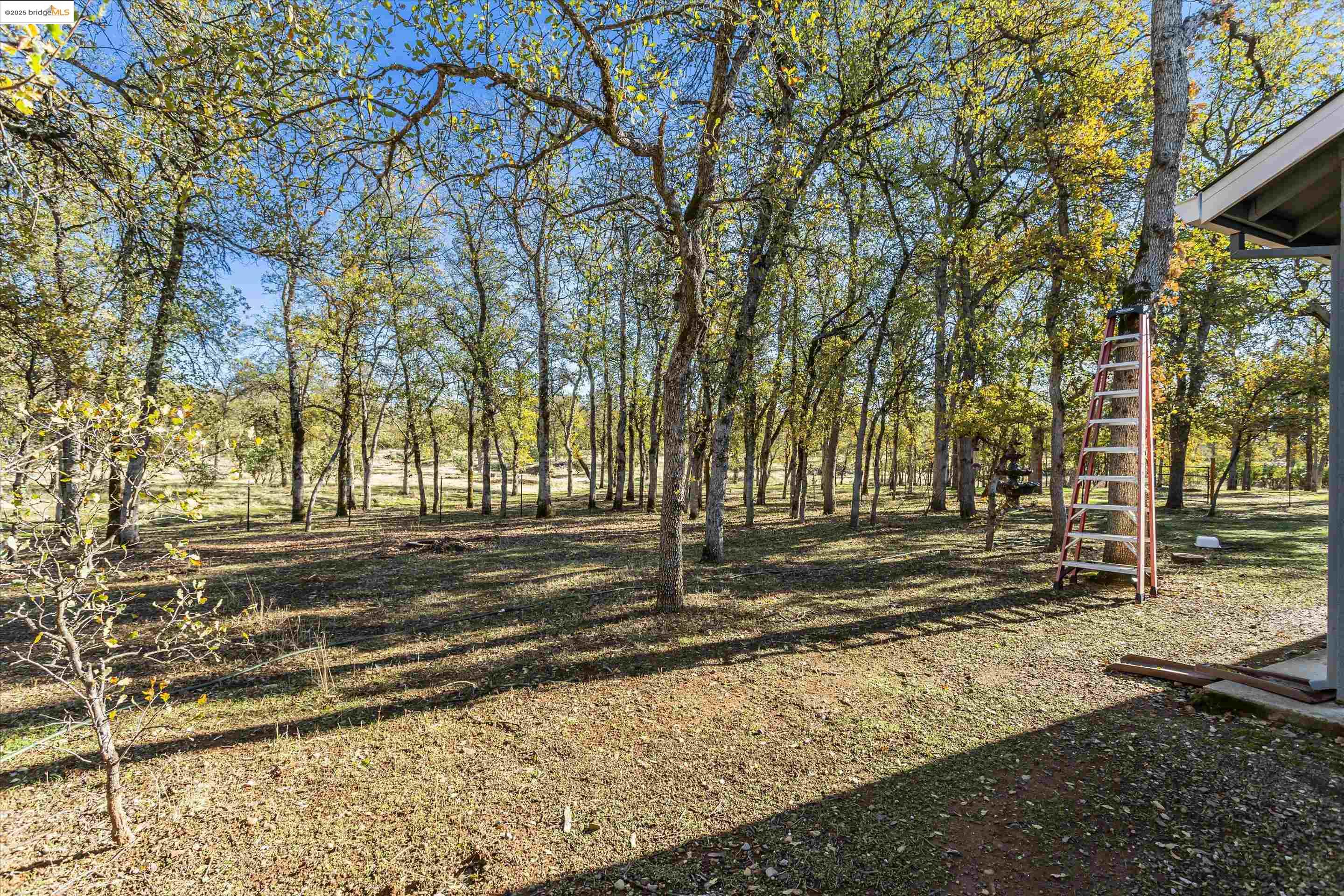 8585 Whispering Oaks Rd