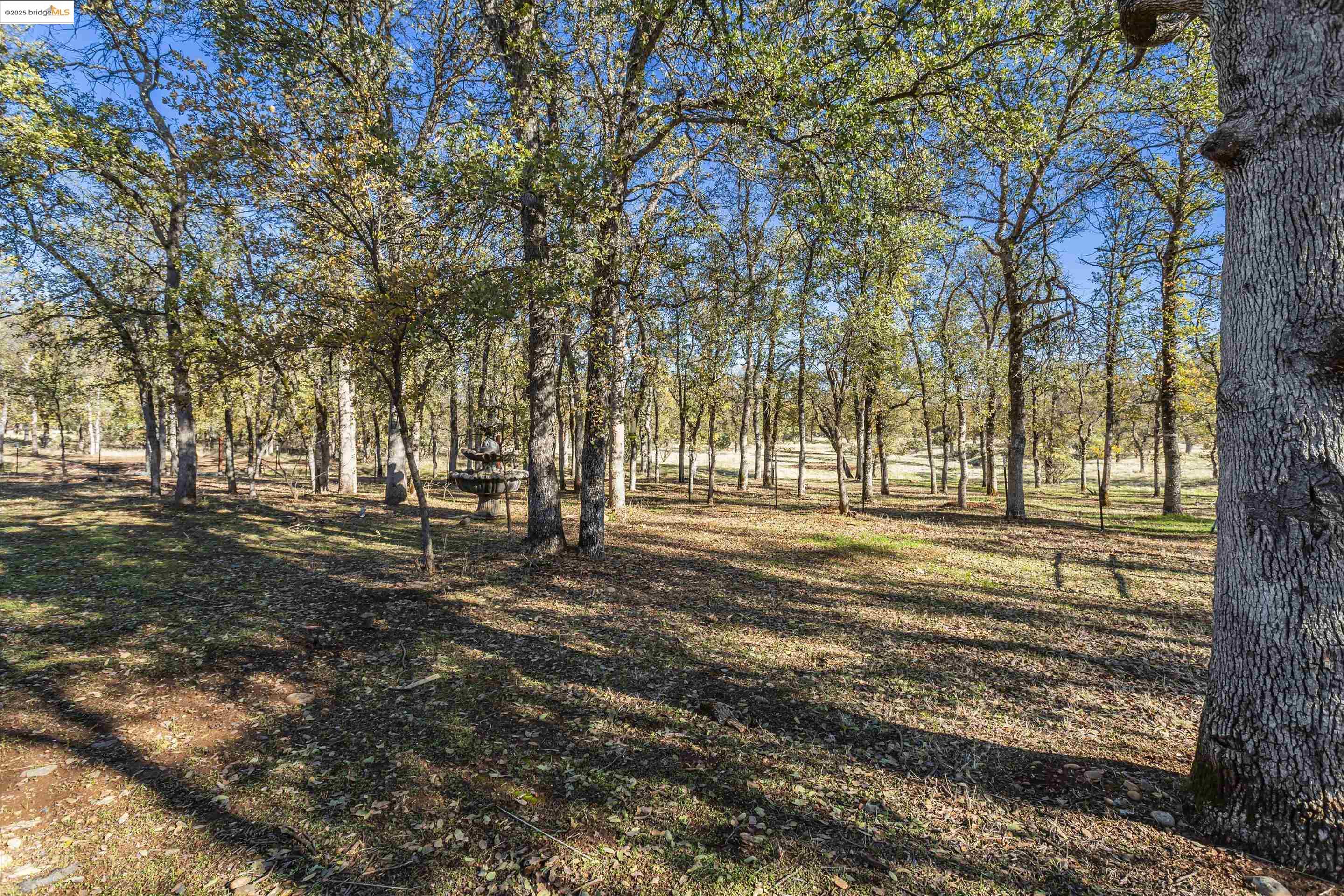 8585 Whispering Oaks Rd