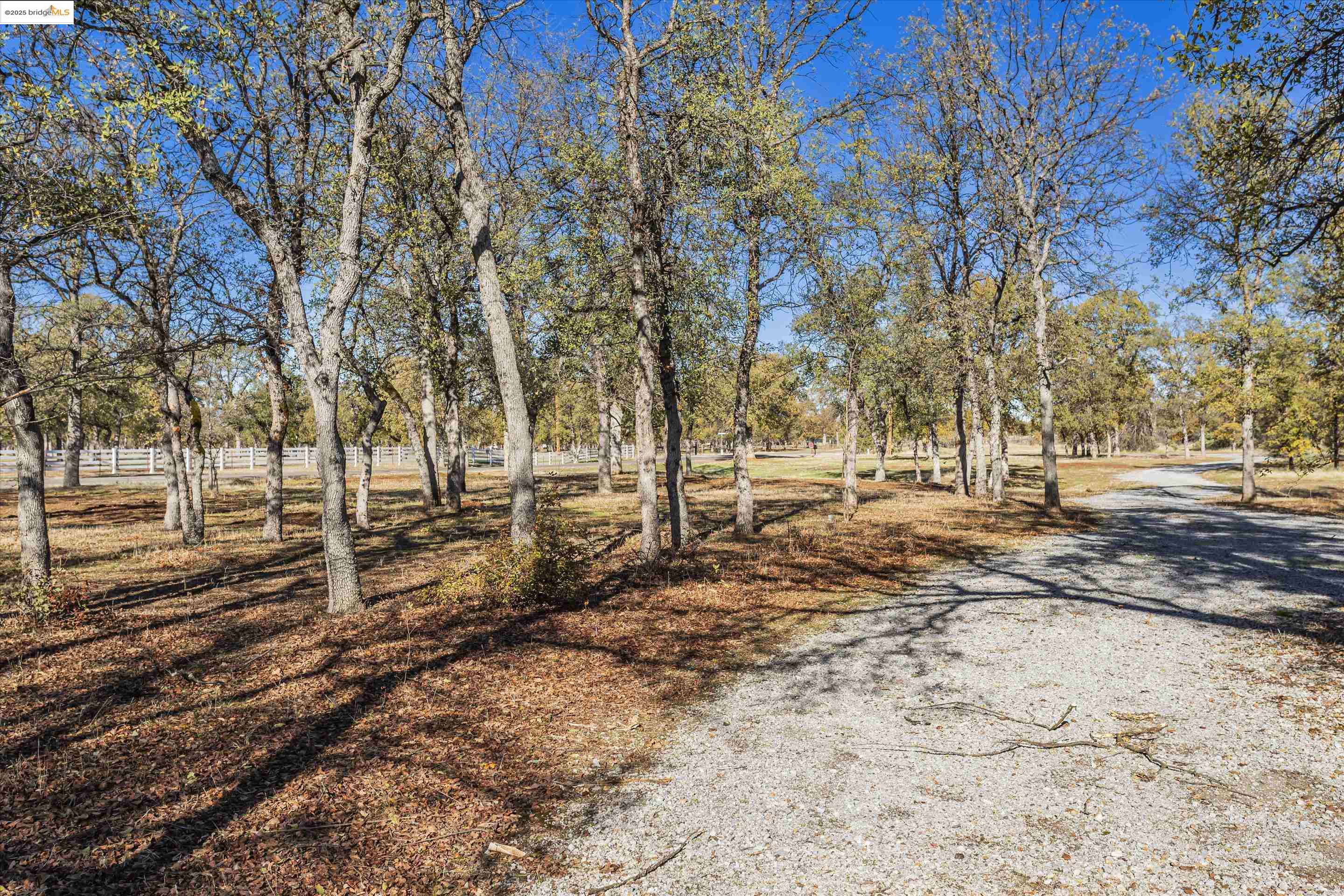 8585 Whispering Oaks Rd