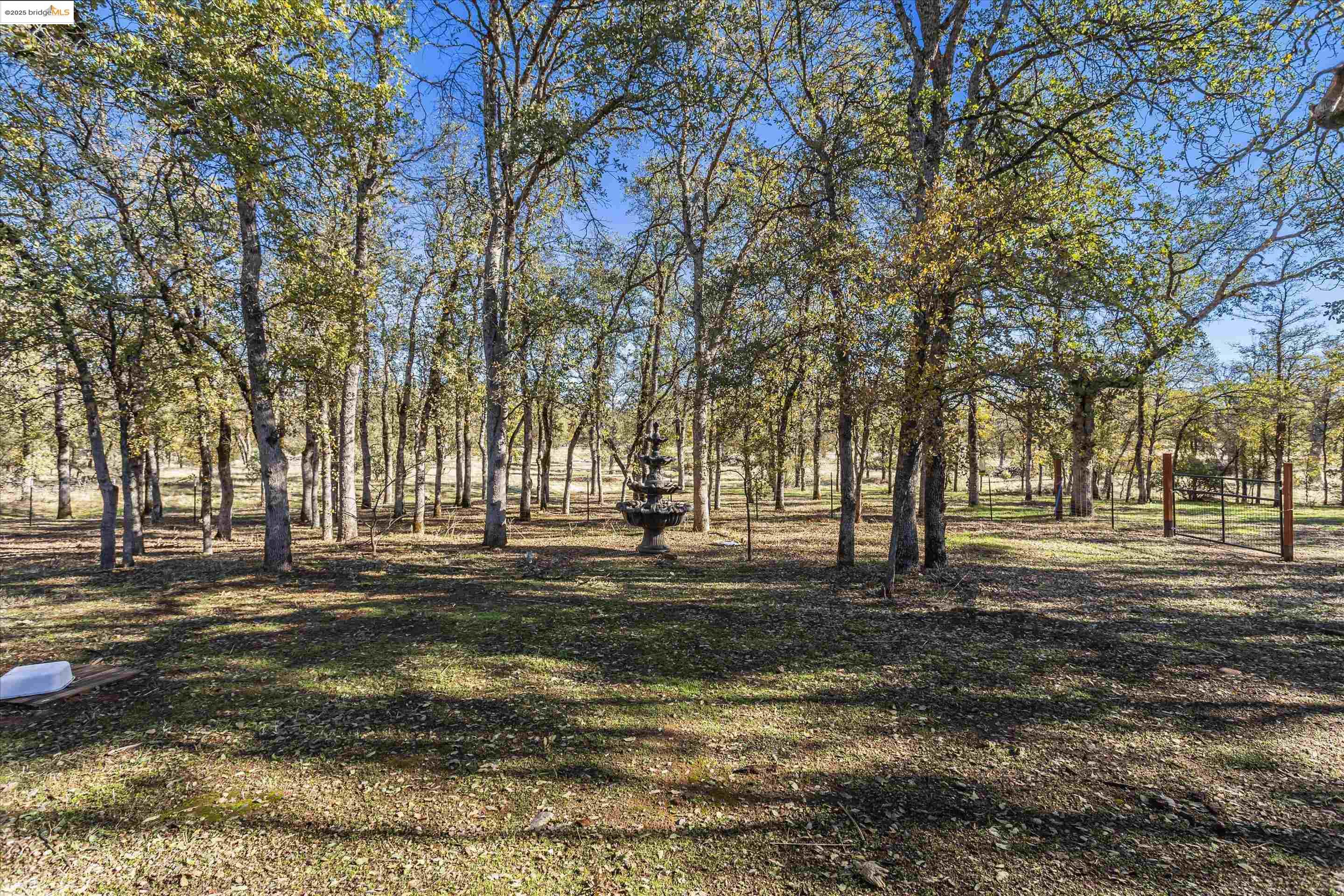 8585 Whispering Oaks Rd