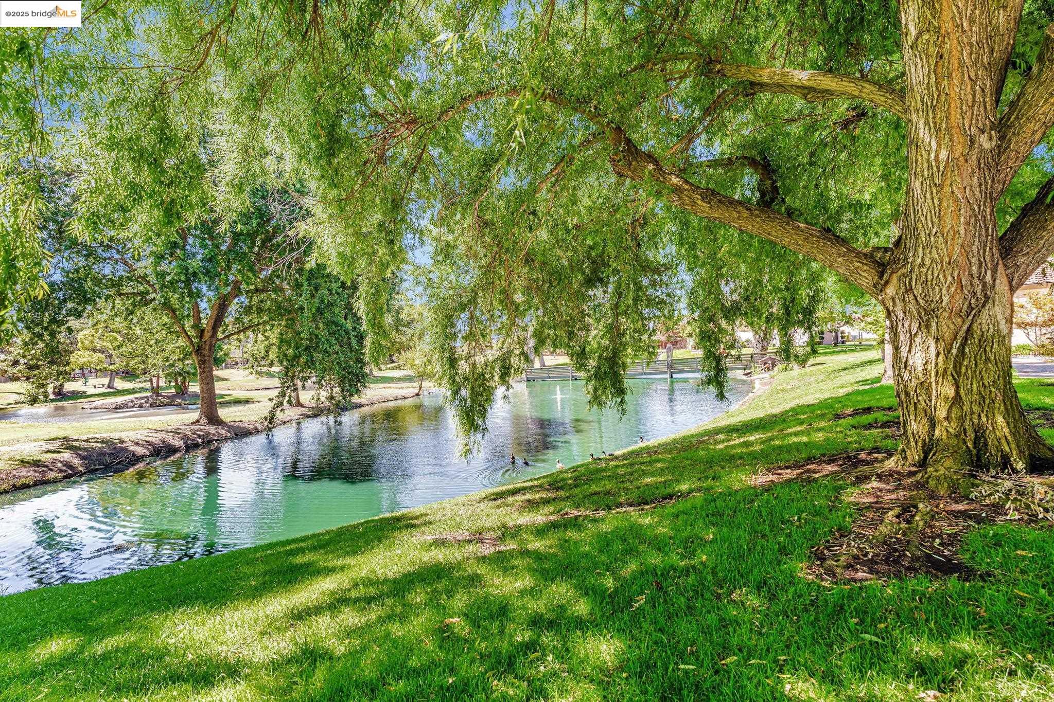 1866 Venetian Dr