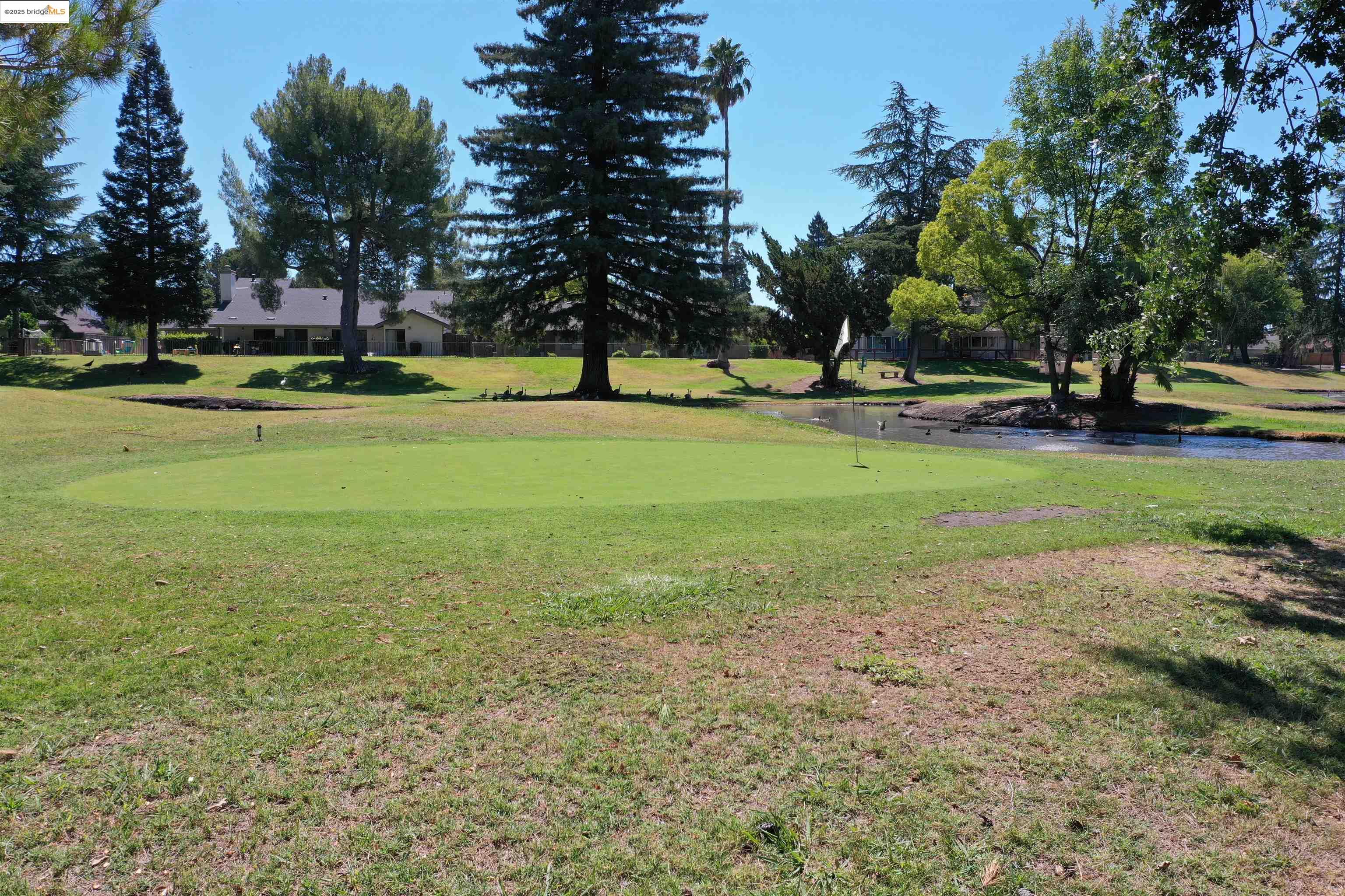 1866 Venetian Dr