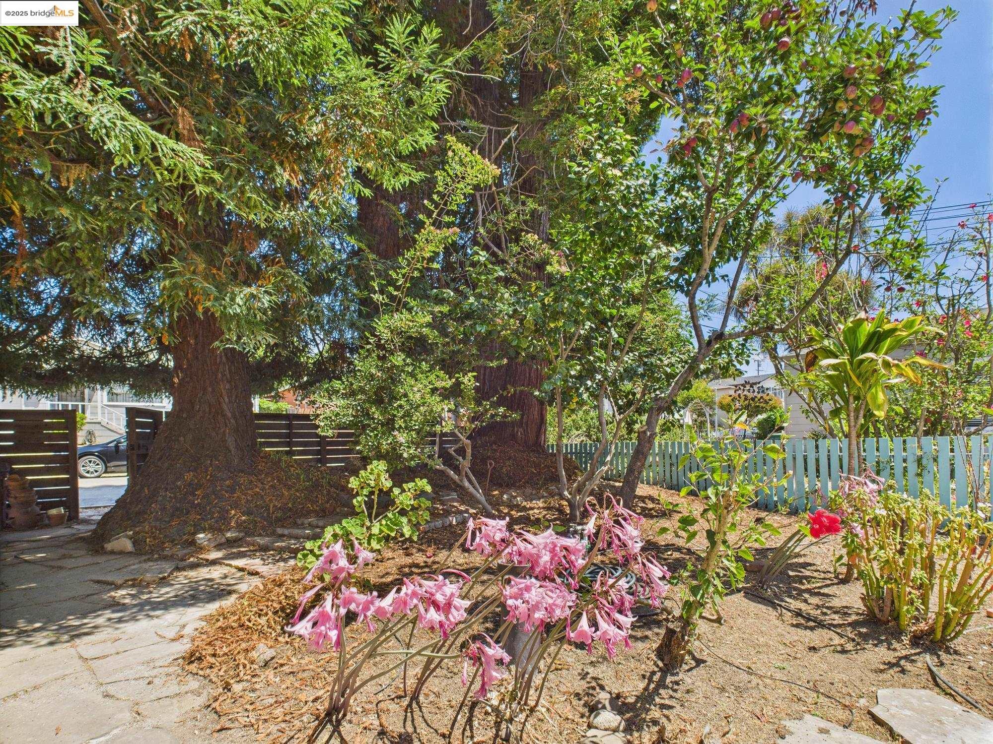 1545 Mariposa St