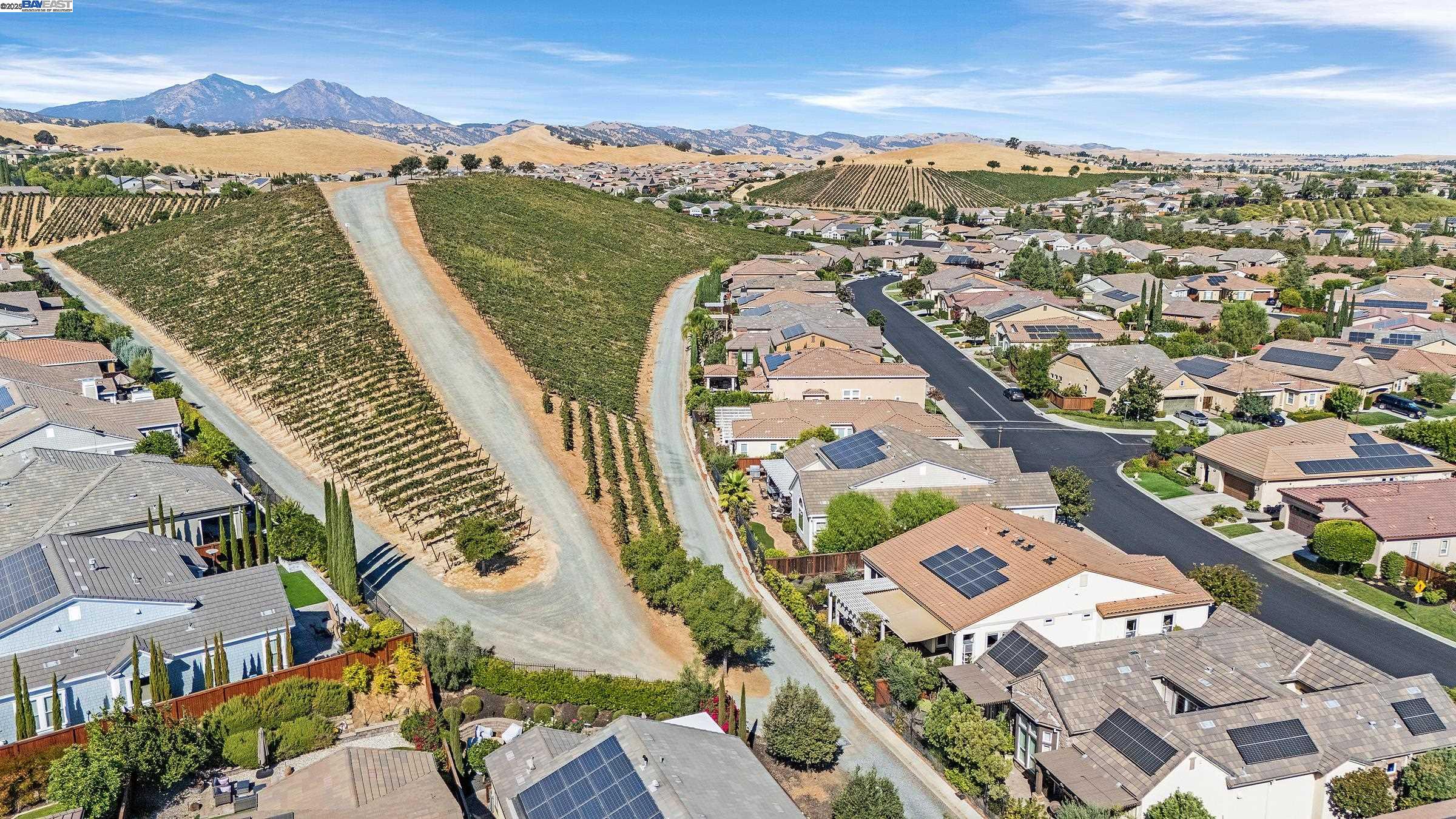 1737 Chardonnay Ln