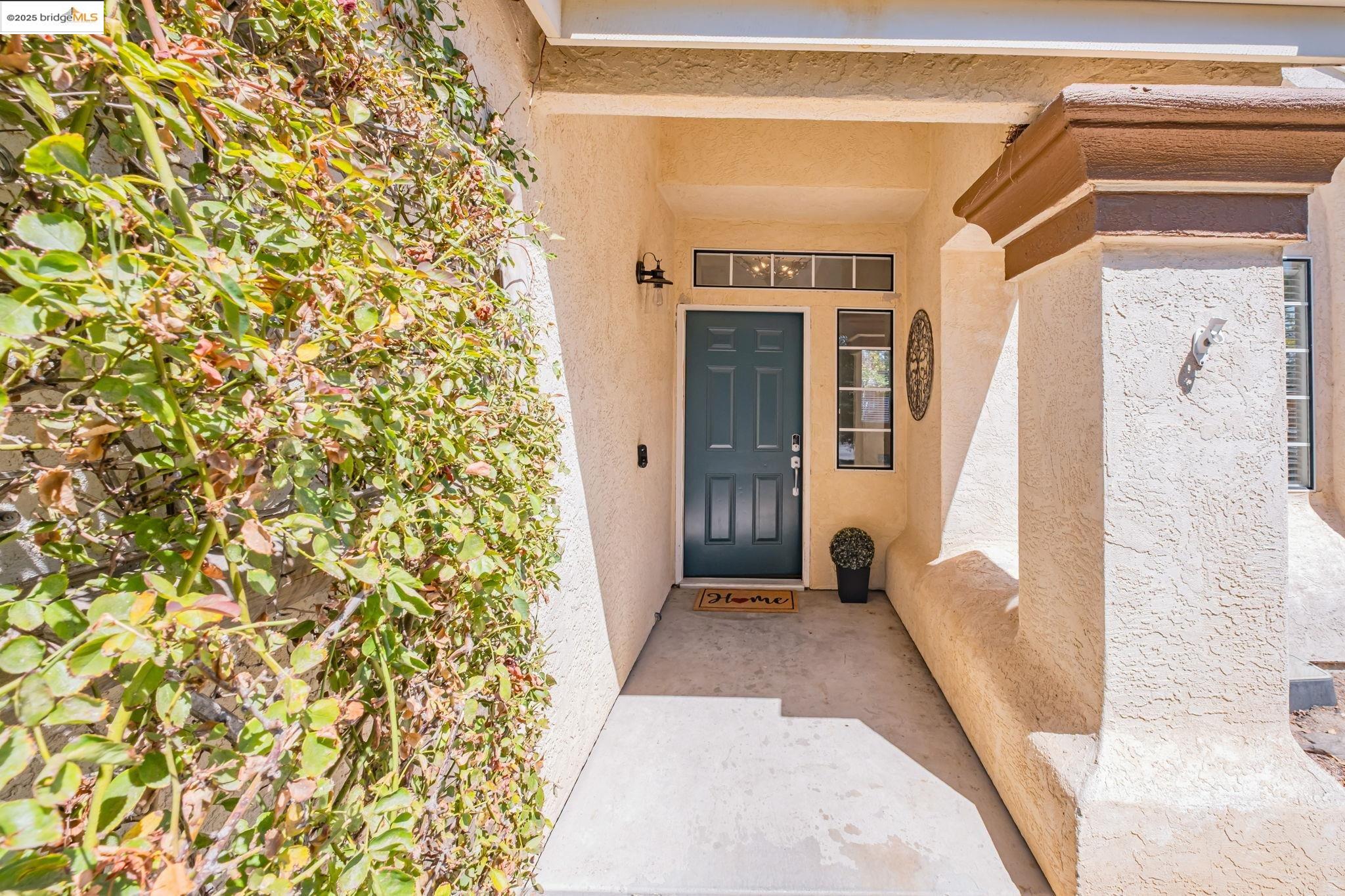 85 Duckhorn Place