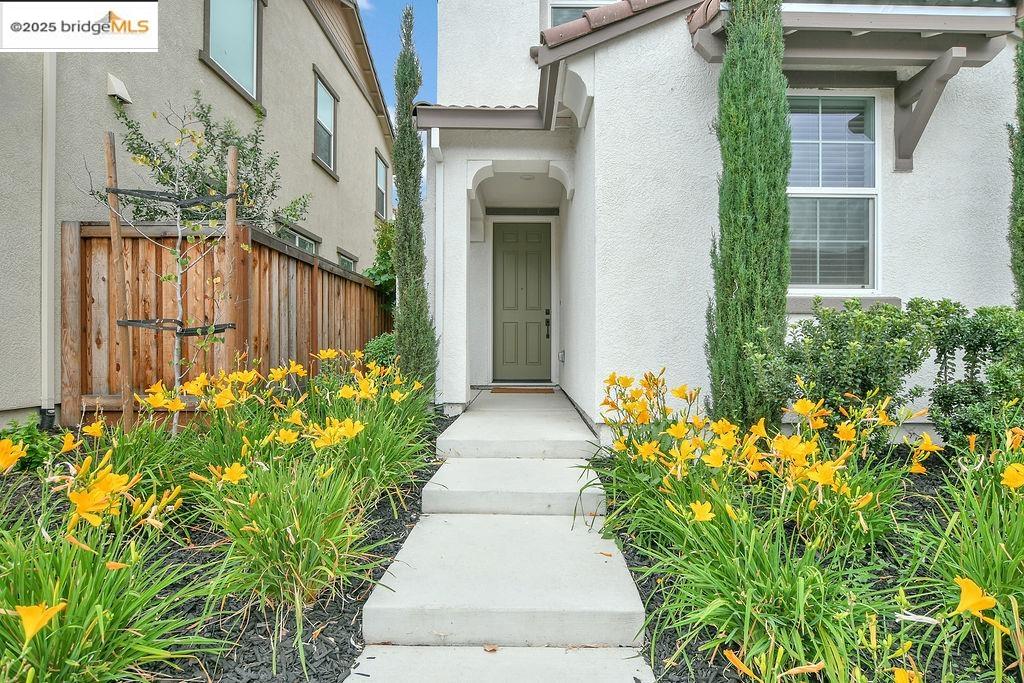 212 Brush Creek Dr