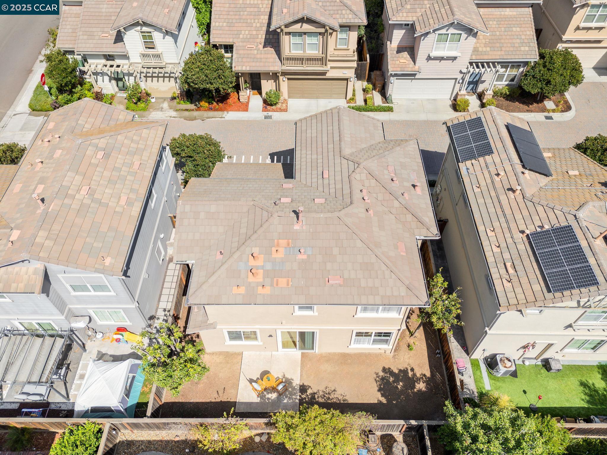 472 Chicory Ct
