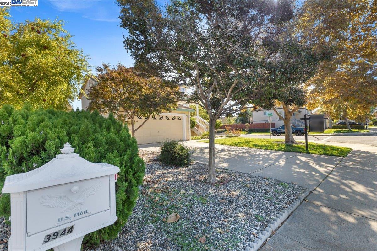 3944 Oak Grove Drive