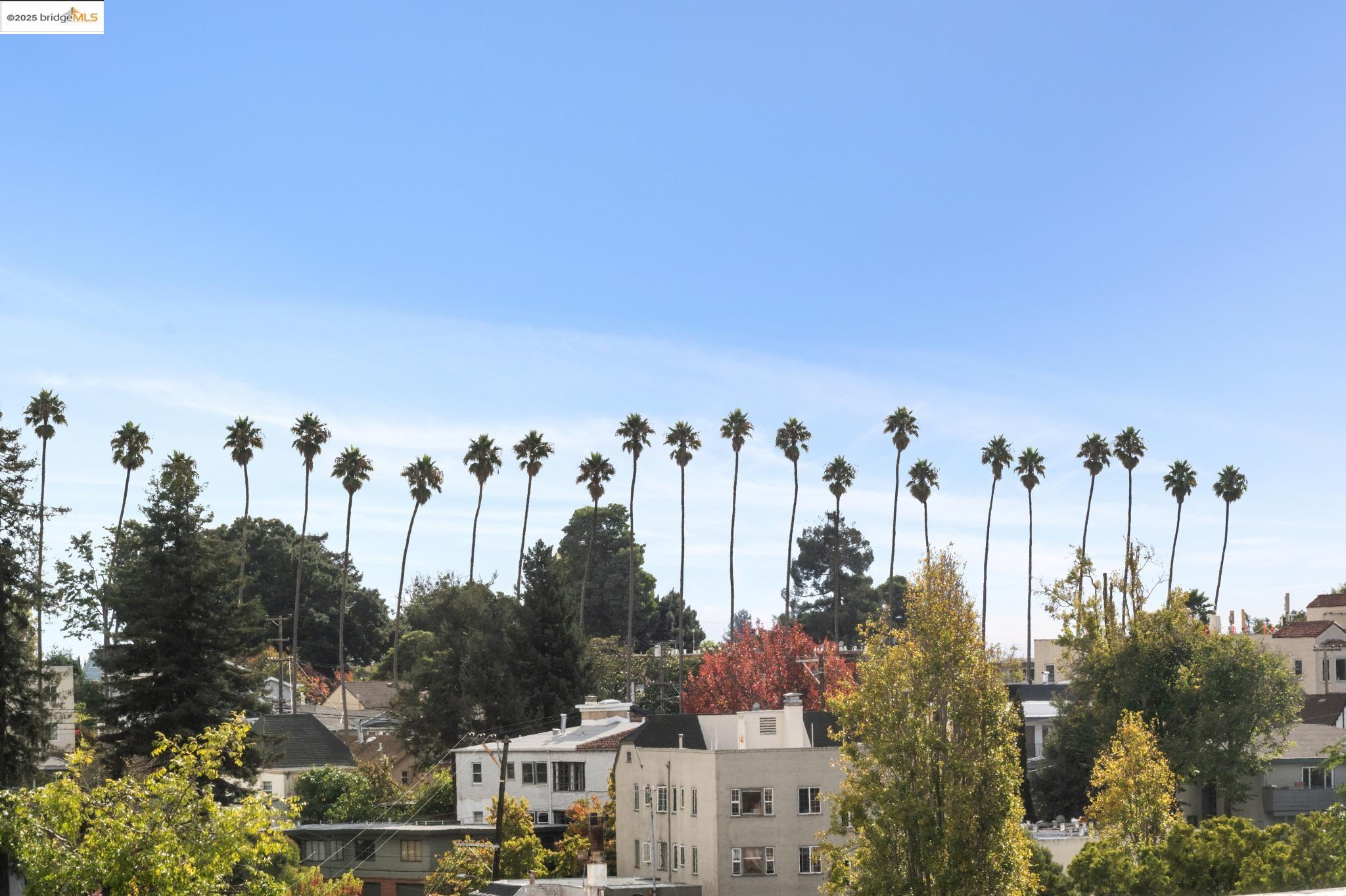 919 Mckinley Ave