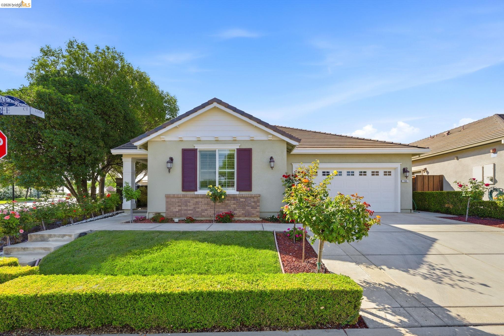 705 Pardee Ct