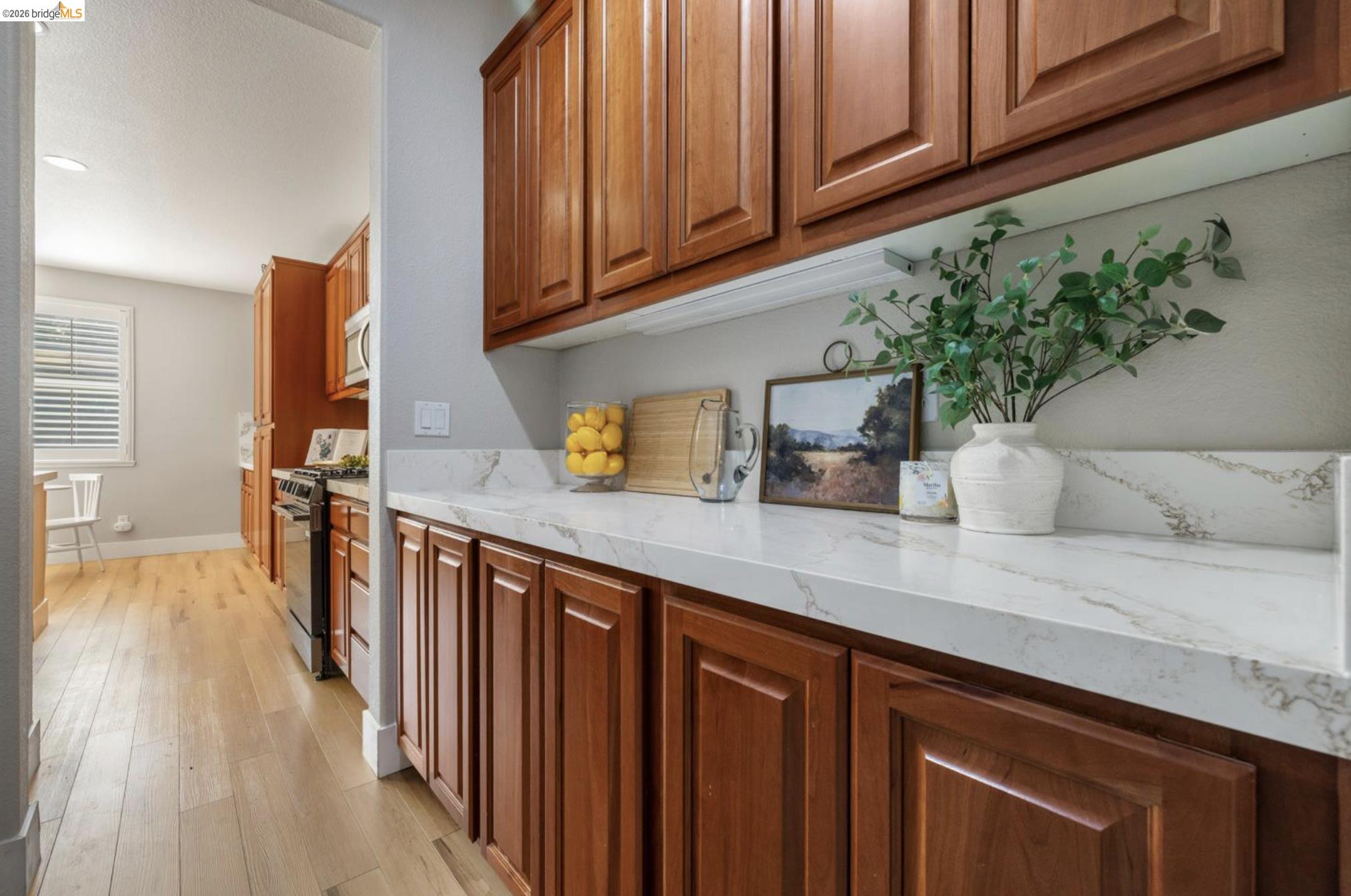 822 Shasta Daisy Dr