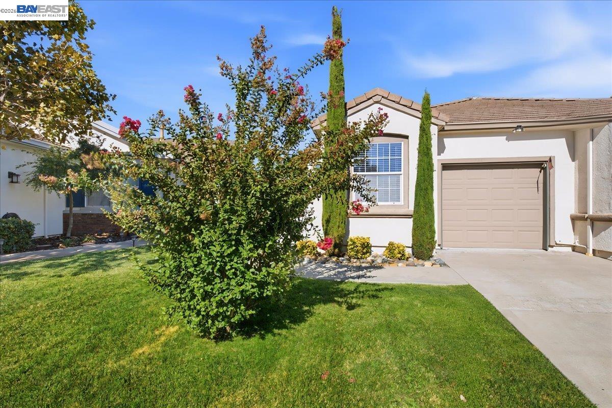 288 Black Amber Way