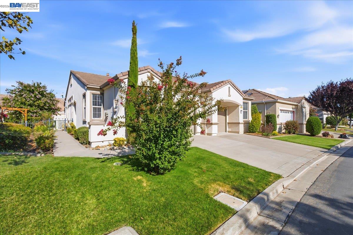 288 Black Amber Way