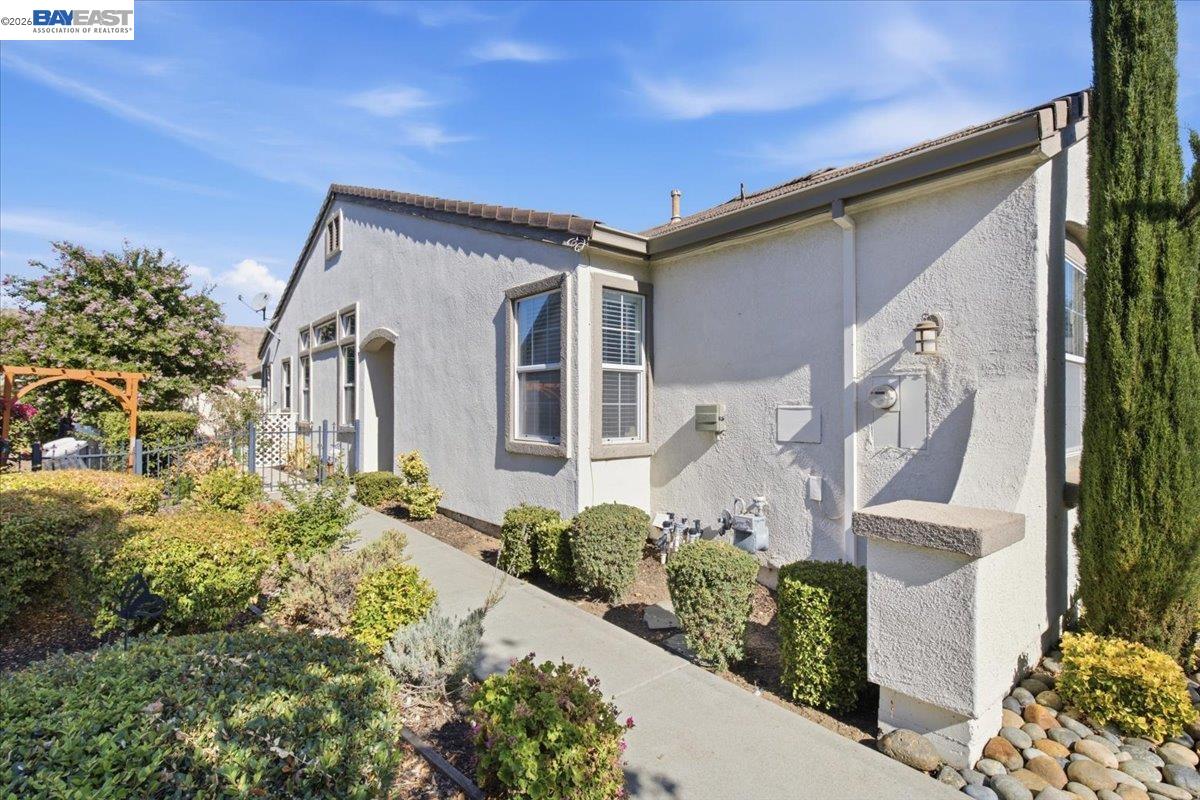 288 Black Amber Way