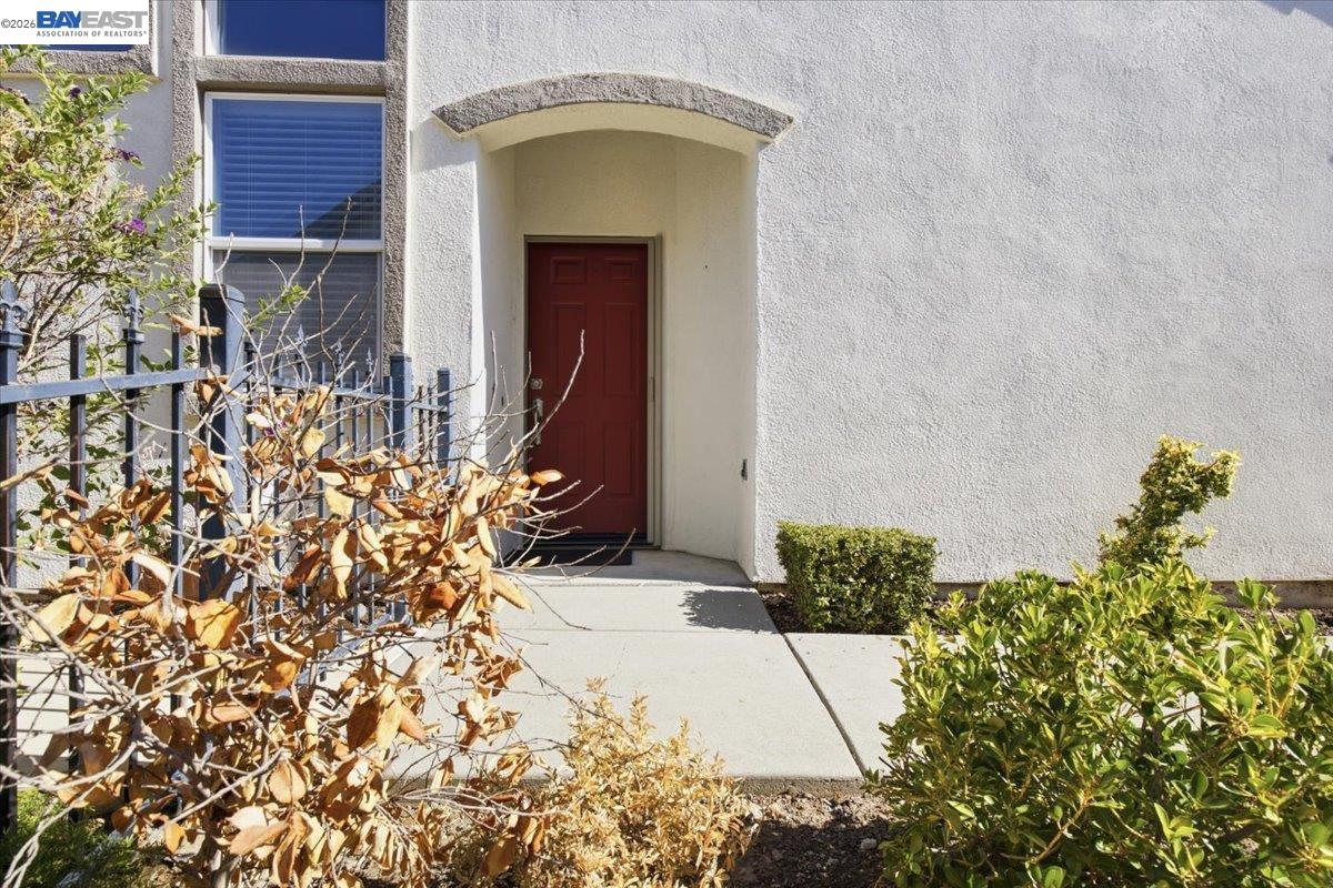 288 Black Amber Way