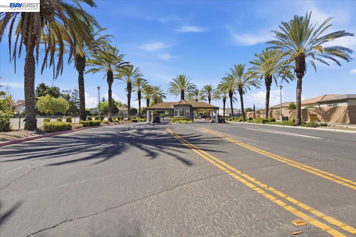 288 Black Amber Way