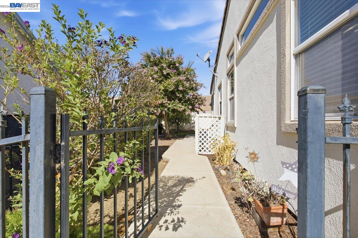 288 Black Amber Way
