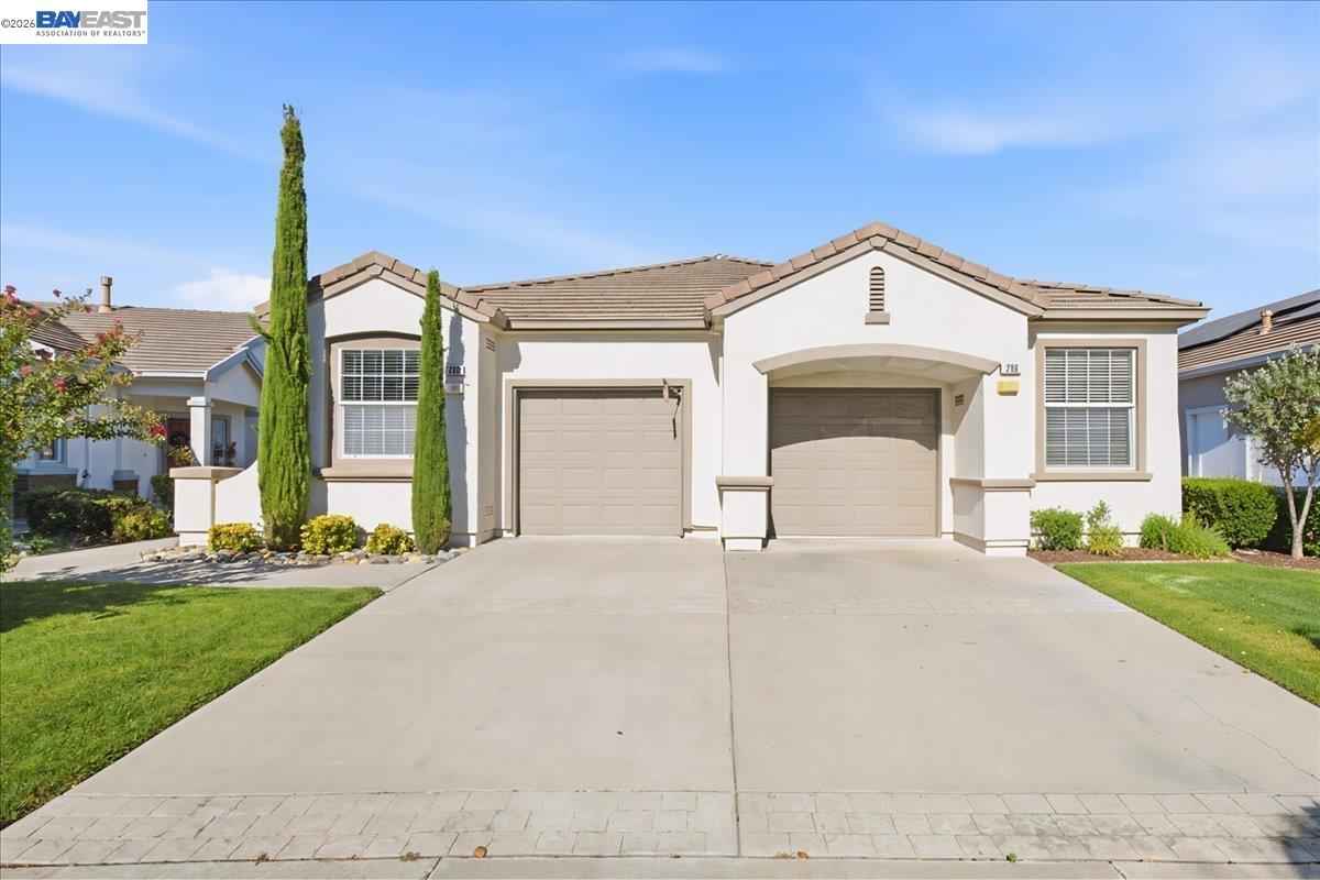 288 Black Amber Way