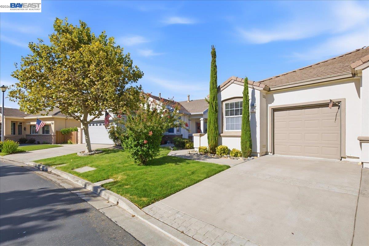 288 Black Amber Way