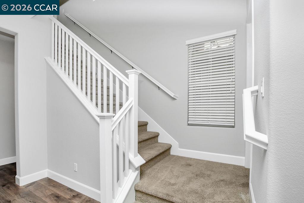 232 Caterina Way