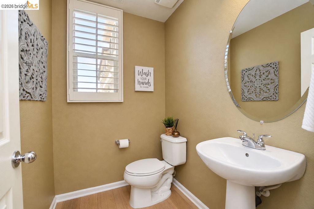 806 Queen Palm Ln