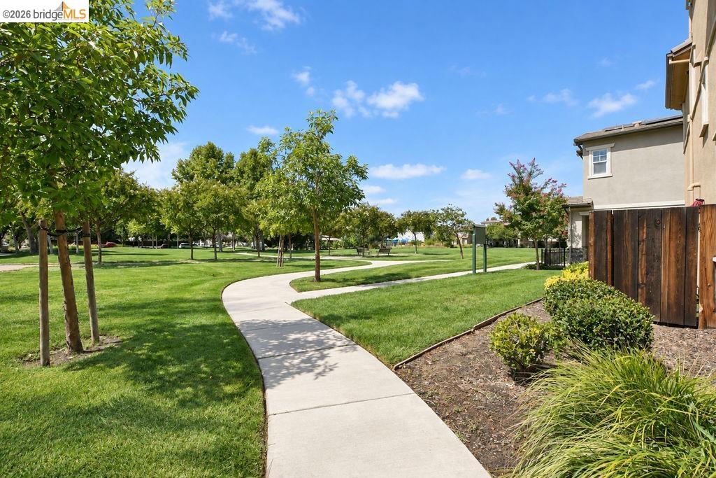 806 Queen Palm Ln