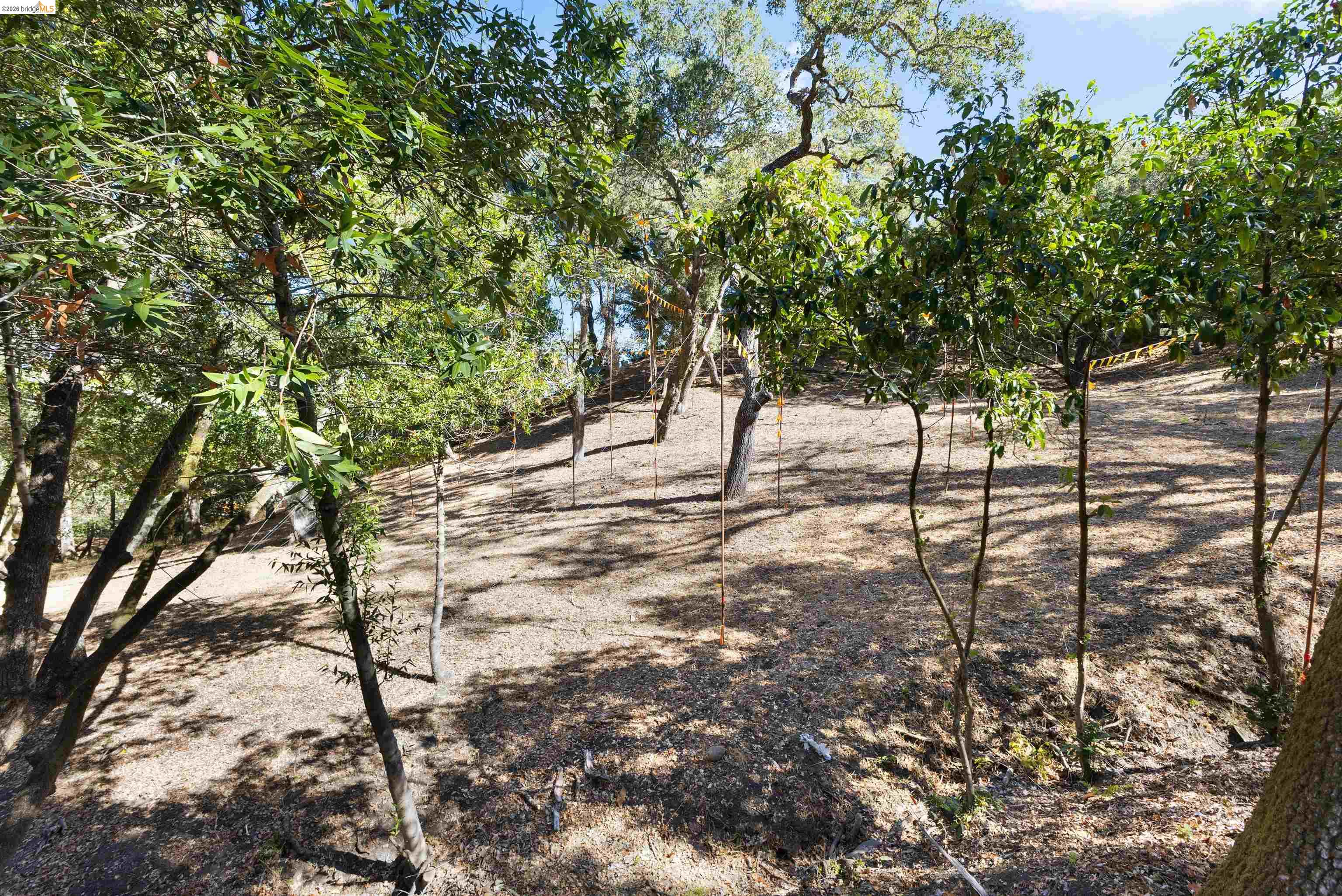 822 Acalanes Rd