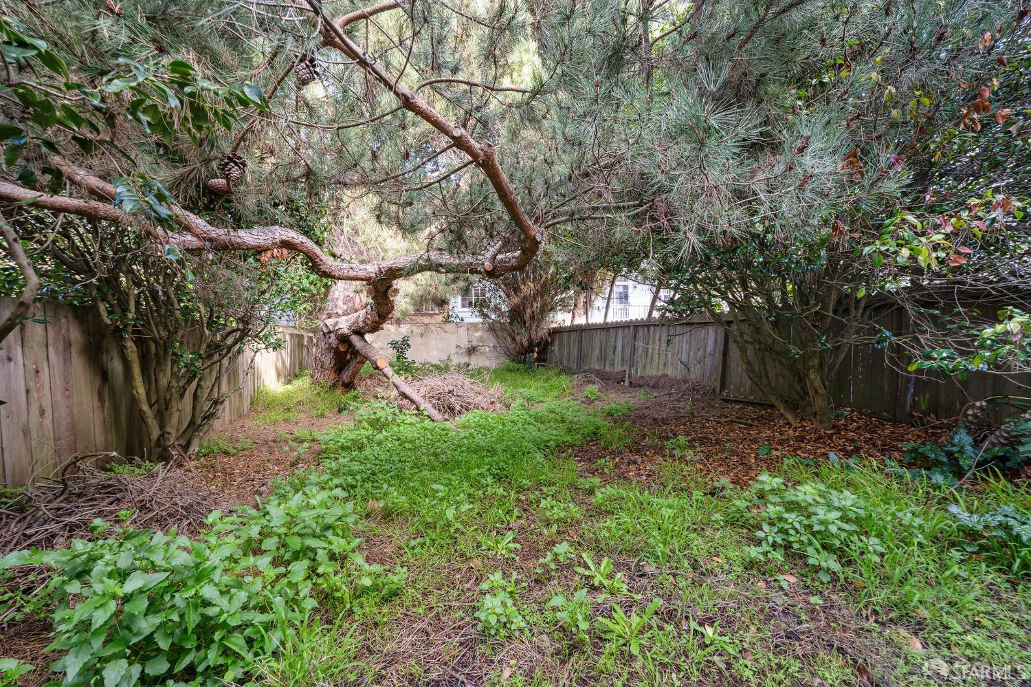 78 Niagara Avenue