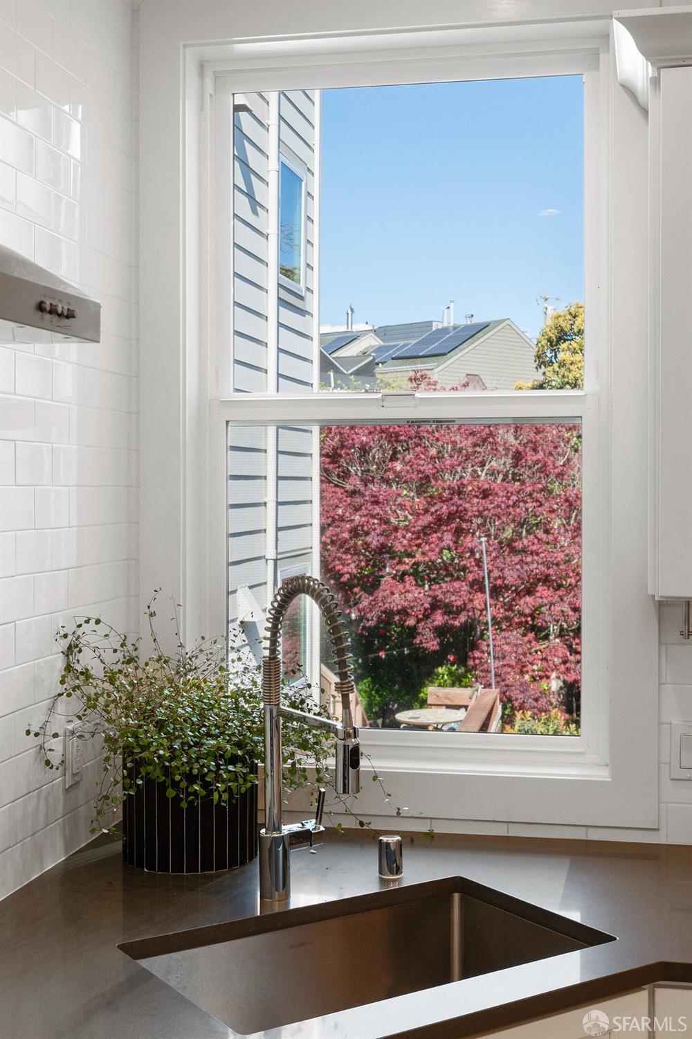 41 Cuvier Street