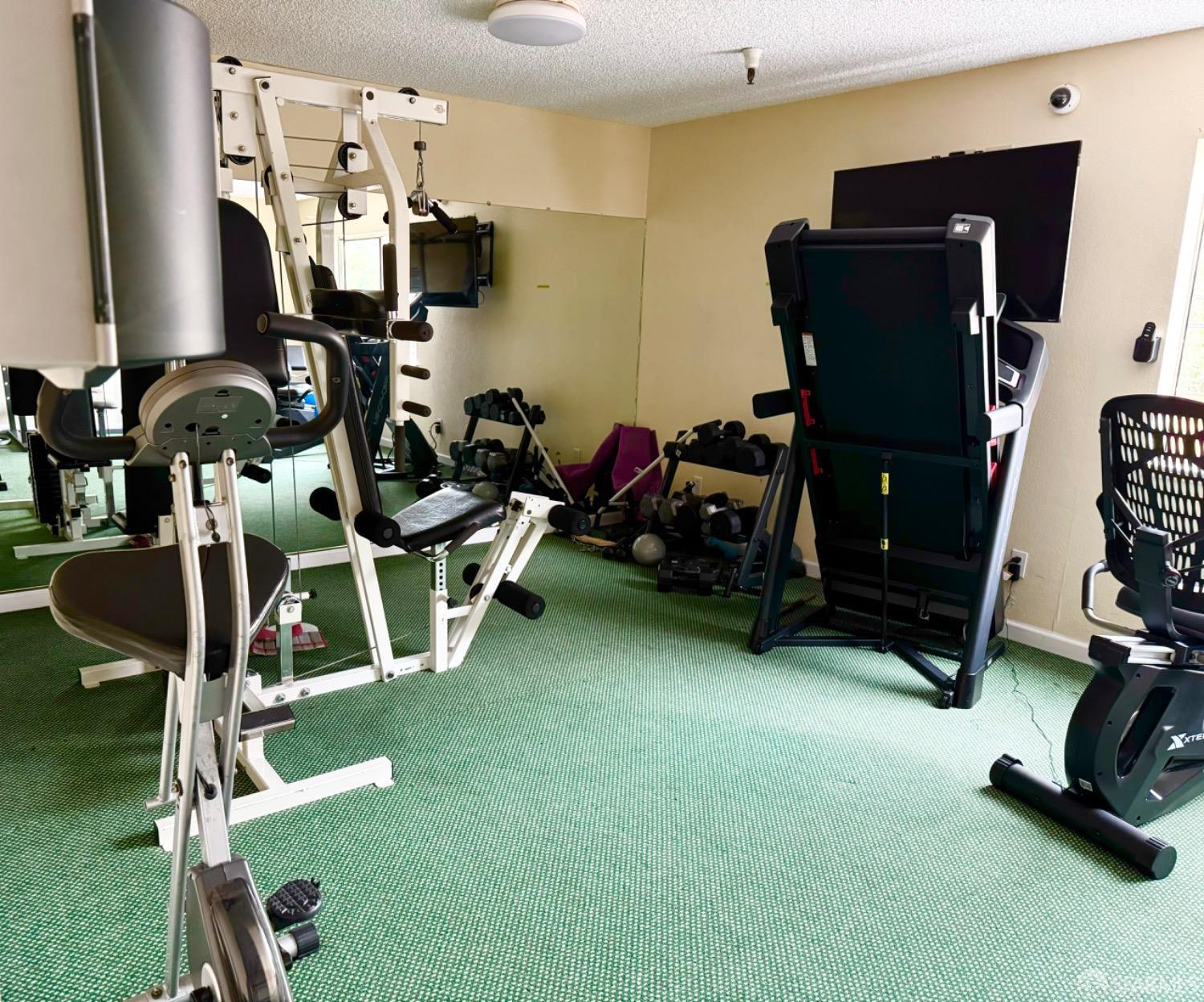 240 N Bayshore Boulevard # 203